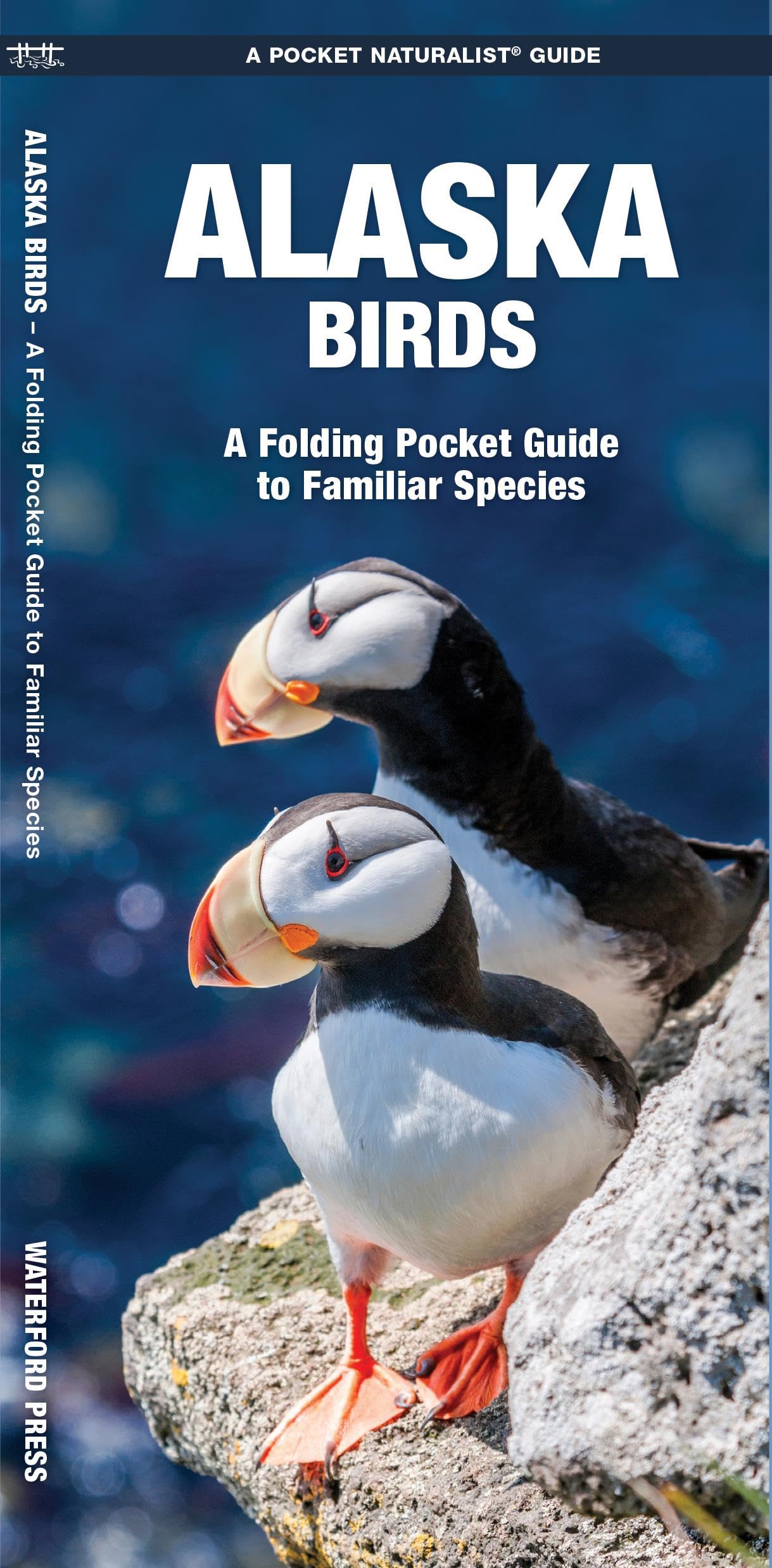 Alaska Birds: A Folding Pocket Guide to Familiar Species (Nature Observation North America) Geology & Geography
