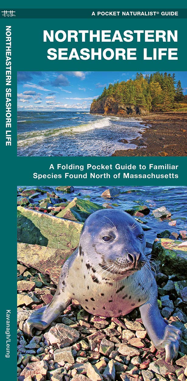 Northeastern Seashore Life: A Folding Pocket Guide to Familiar Coastal Species North of Massachusetts (Wildlife and Nature Identification) Geology & Geography