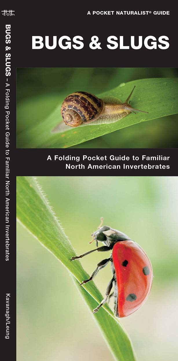 Bugs & Slugs: A Folding Pocket Guide to Familiar North American Invertebrates (Pocket Naturalist Guide) Mathematics