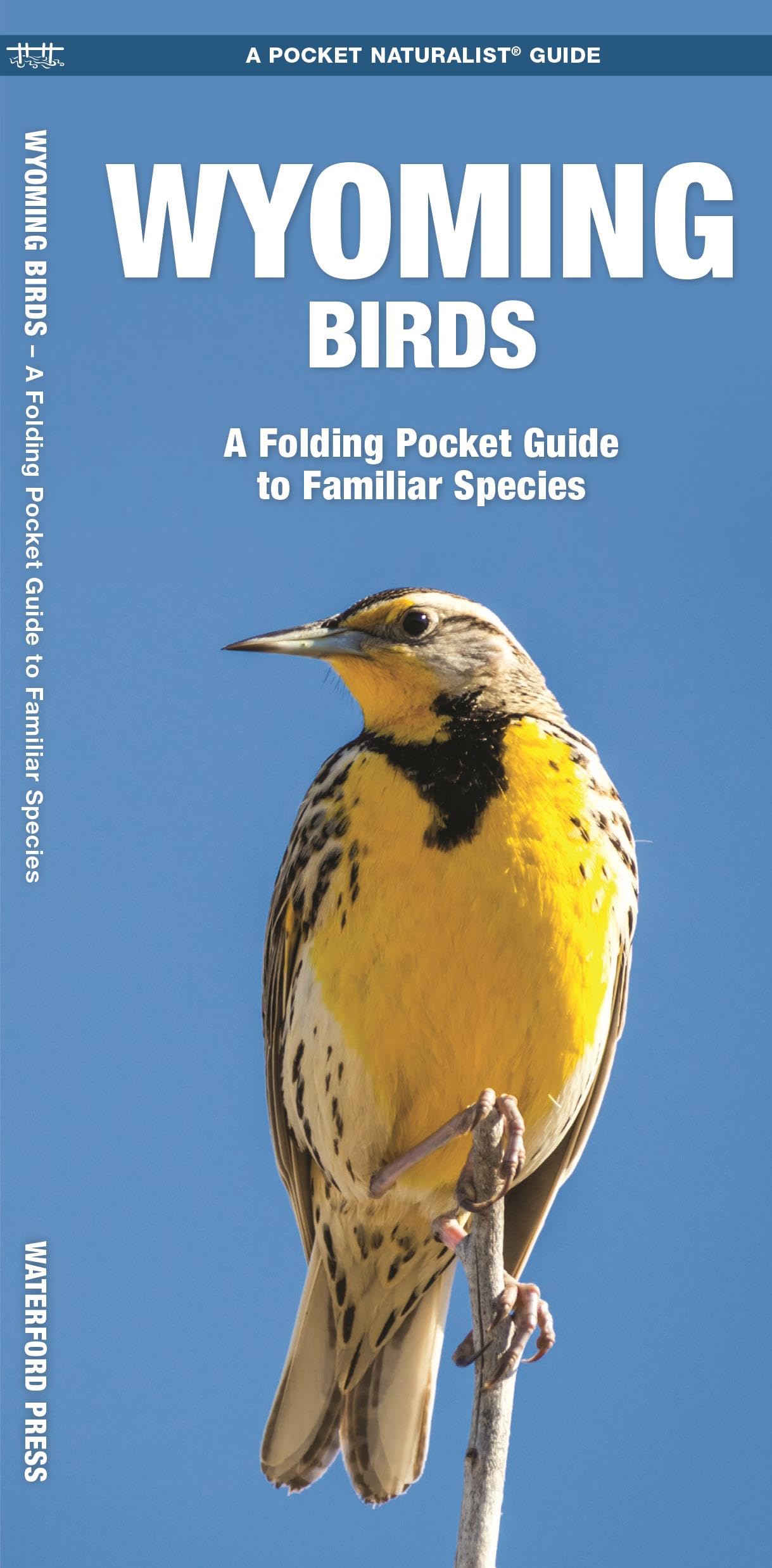 Wyoming Birds: A Folding Pocket Guide to Familiar Species book