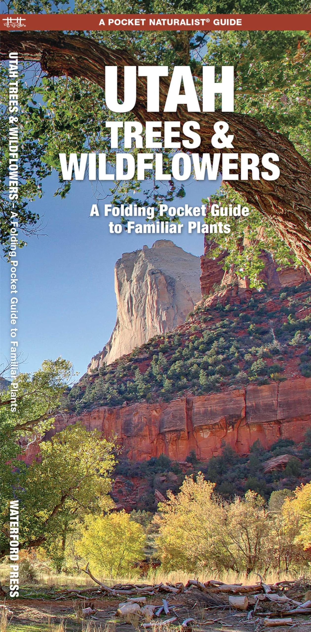 Utah Trees & Wildflowers: A Folding Pocket Guide to Familiar Species: A Folding Pocket Guide to Familiar Plants (Nature Observation North America) Leisure, Home & Garden