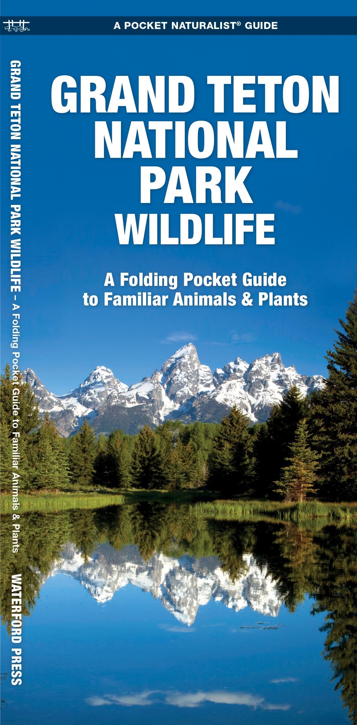 Grand Teton National Park Wildlife: A Folding Pocket Guide to Familiar Plants & Animals book