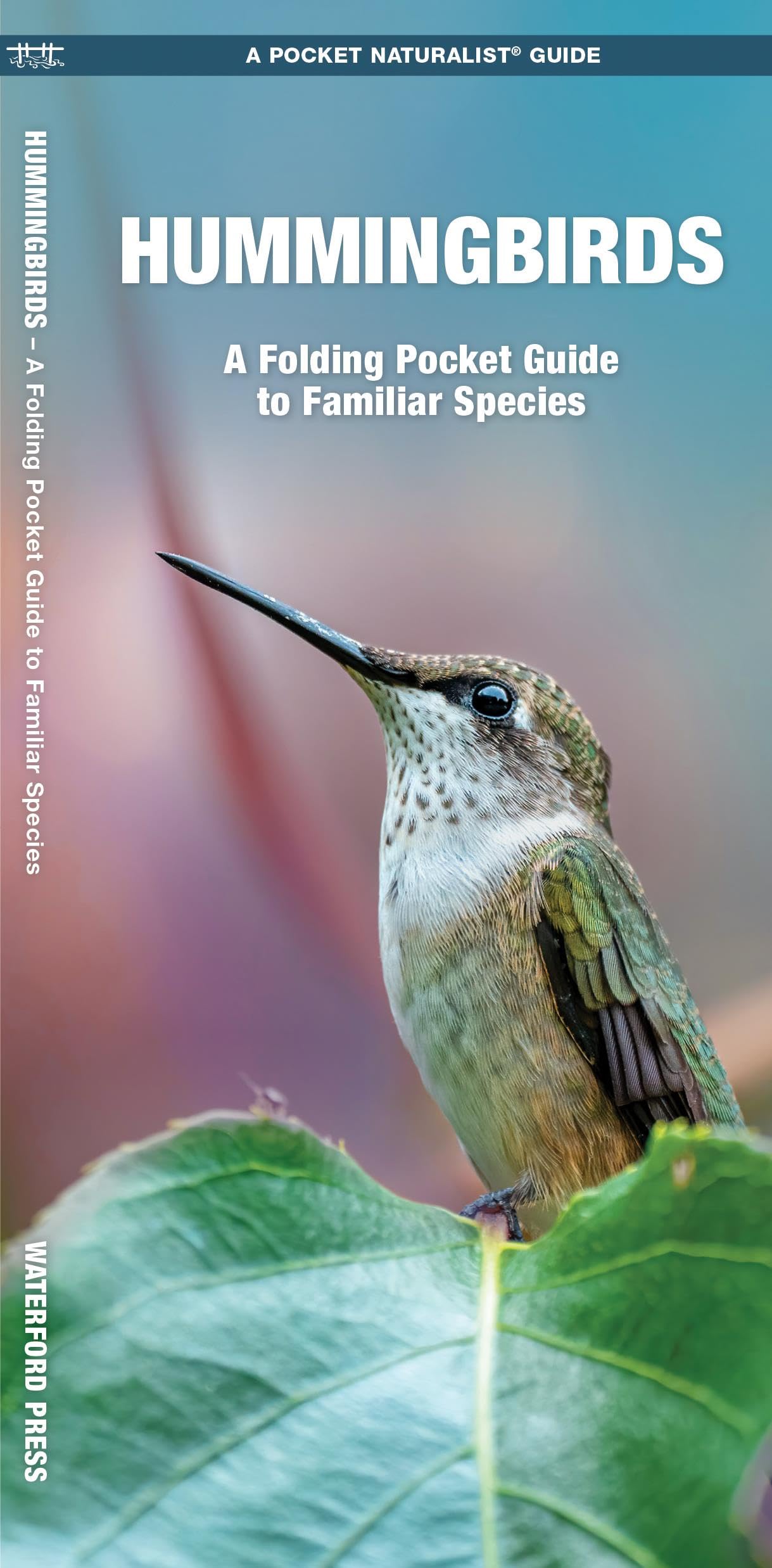 Hummingbirds: A Folding Pocket Guide to Familiar Species (Pocket Naturalist Guide Series) Mathematics