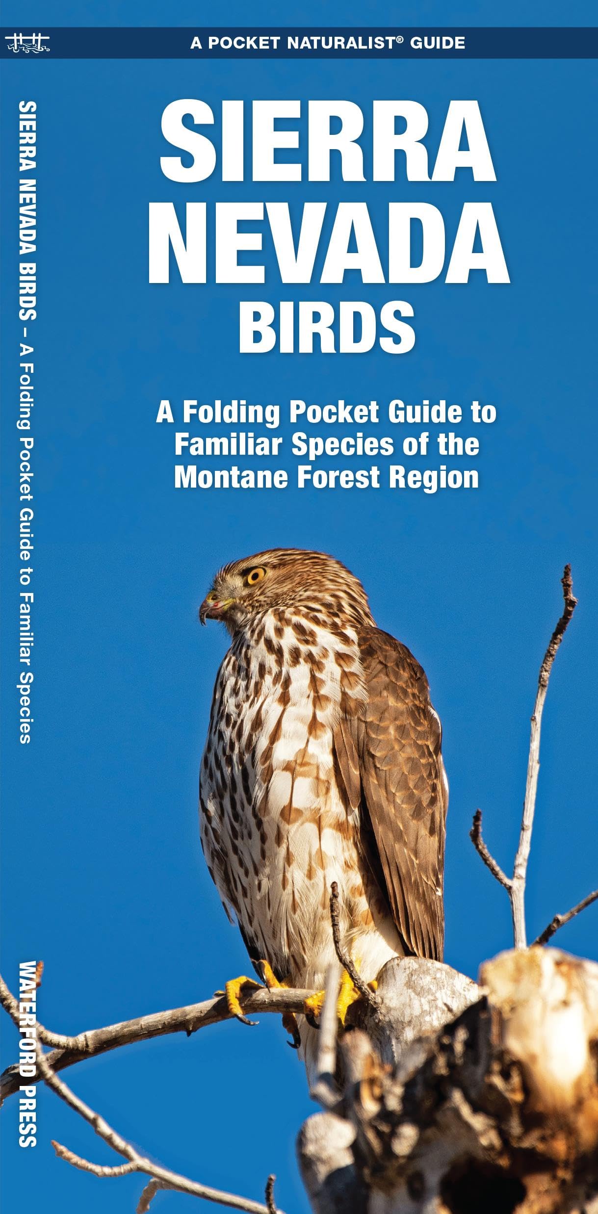 Sierra Nevada Birds: A Folding Pocket Guide to Familiar Species of the Montane Forest Region (Pocket Naturalist Guide Series) Geology & Geography