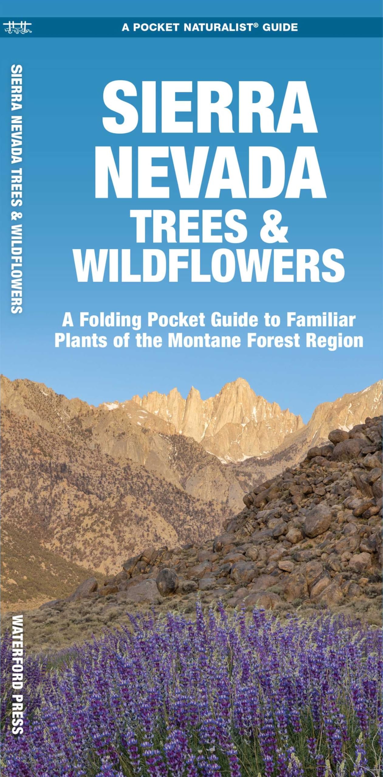 Sierra Nevada Trees & Wildflowers: A Folding Pocket Guide to Familiar Species of the Montane Forest Region (Pocket Naturalist Guide Series) Mathematics