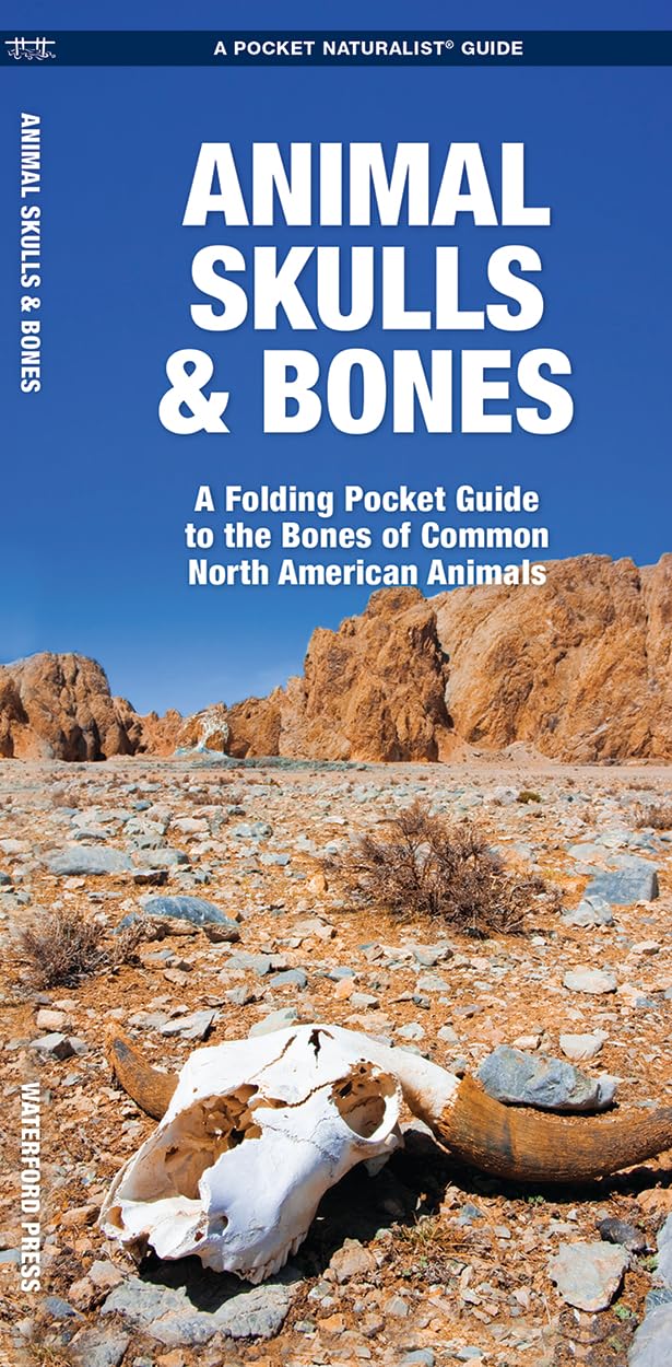 Animal Skulls & Bones: A Folding Pocket Guide to the Bones of Common North American Animals (Outdoor Skills and Preparedness) Mathematics