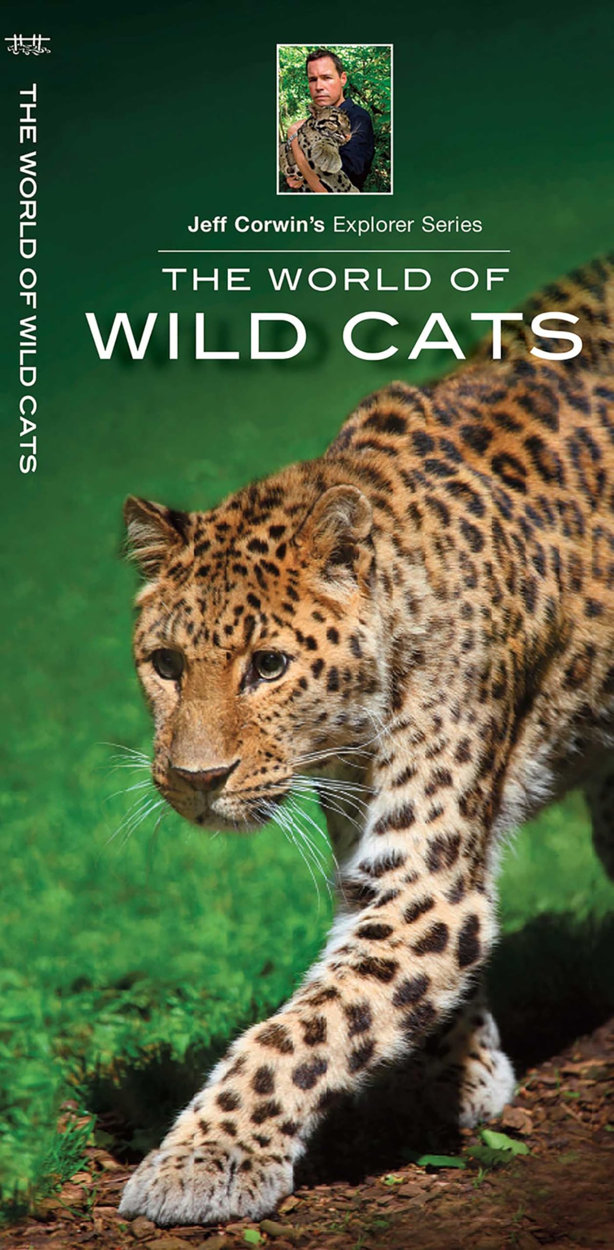 The World of Wild Cats (Jeff Corwin's Explorer) Mathematics