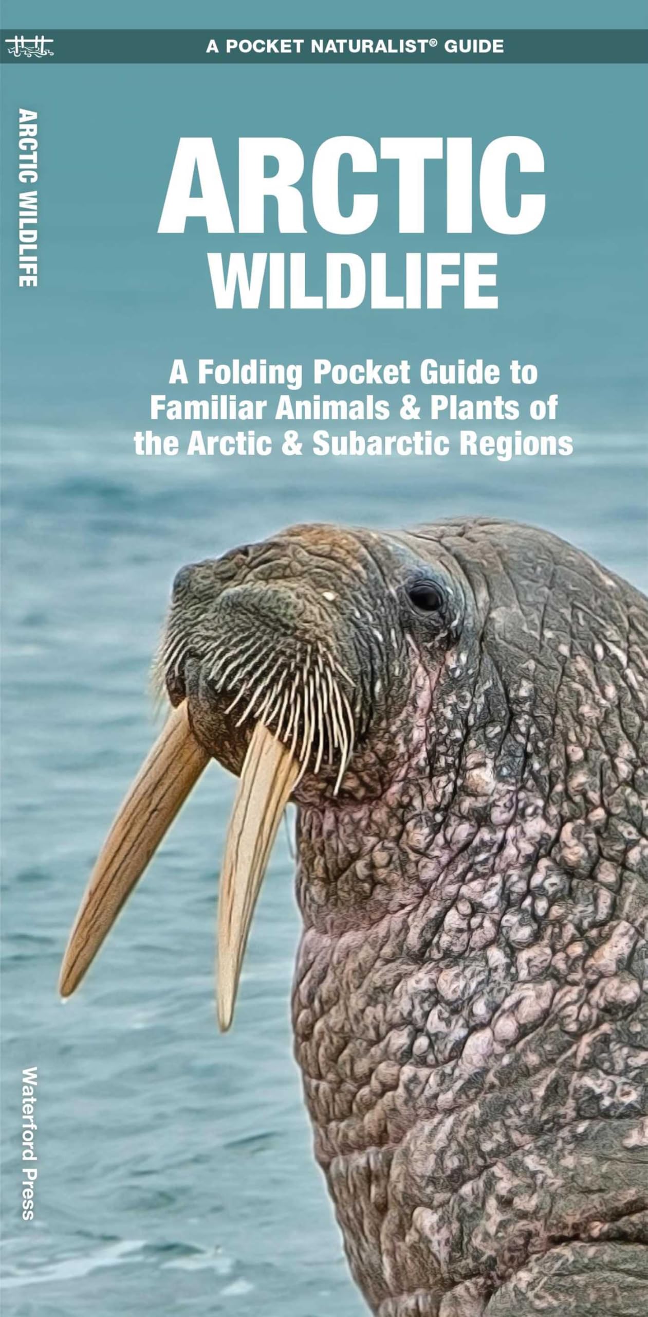Arctic Wildlife: An Folding Pocket Guide to Familiar Animals & Plants of the Arctic & Subarctic Regions: An Introduction to Familiar Species (Pocket Naturalist Guides) Computer Science