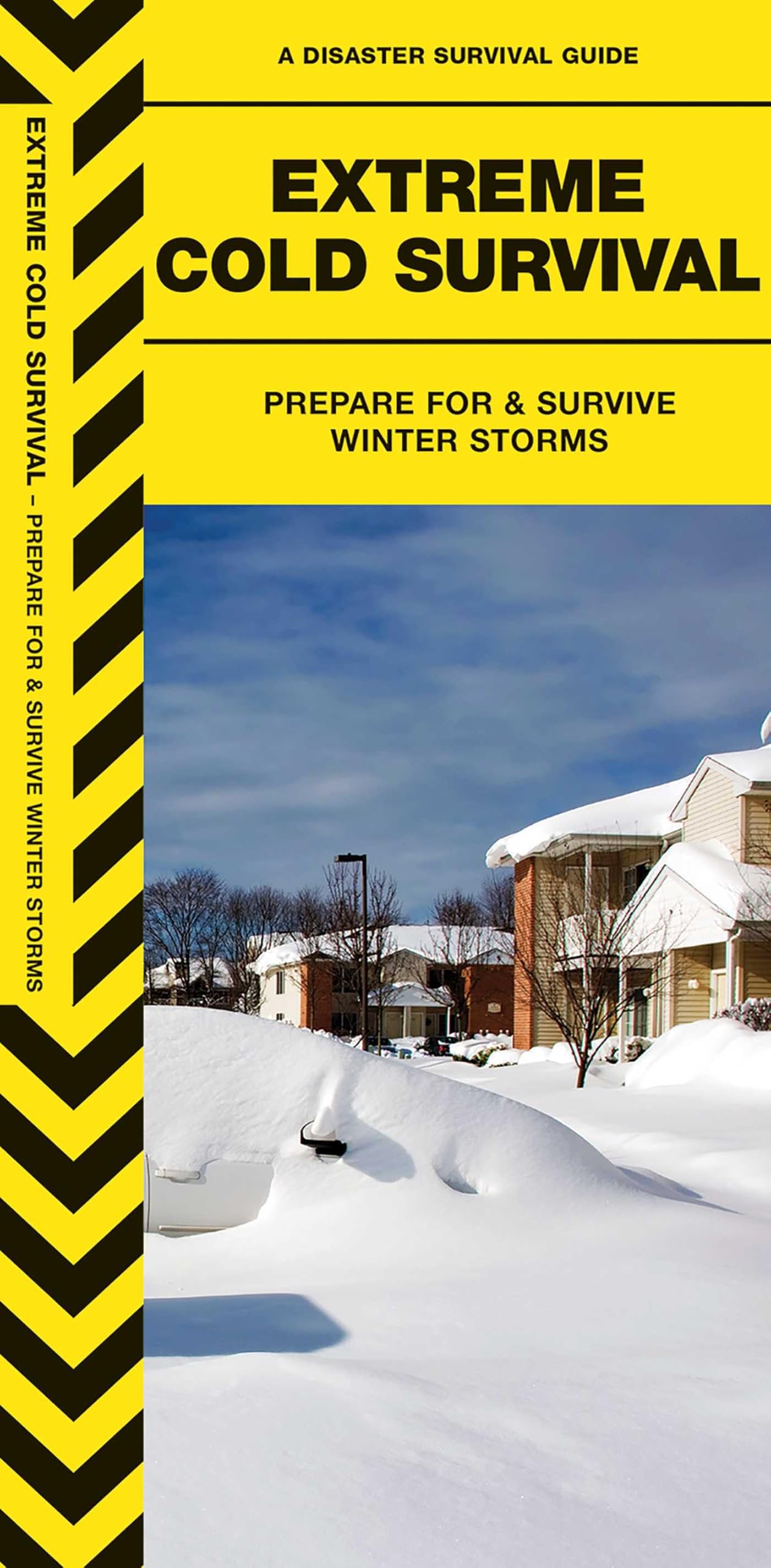 Extreme Cold Survival: Prepare for & Survive Winter Storms (Outdoor Recreation and Survival) Geology & Geography