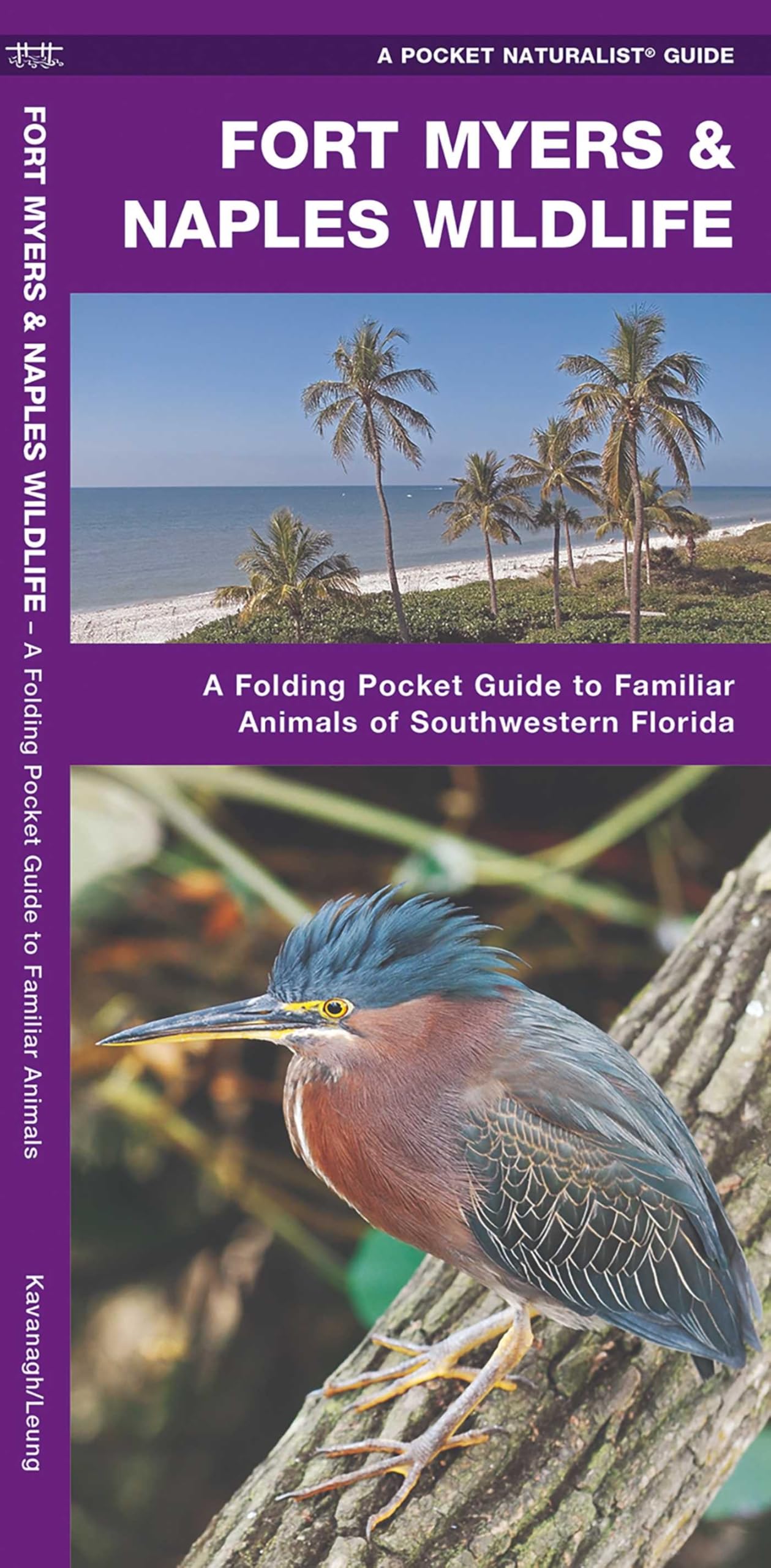 Fort Myers & Naples Wildlife: A Folding Pocket Guide to Familiar Animals of Southwestern Florida (Nature Observation North America) Mathematics