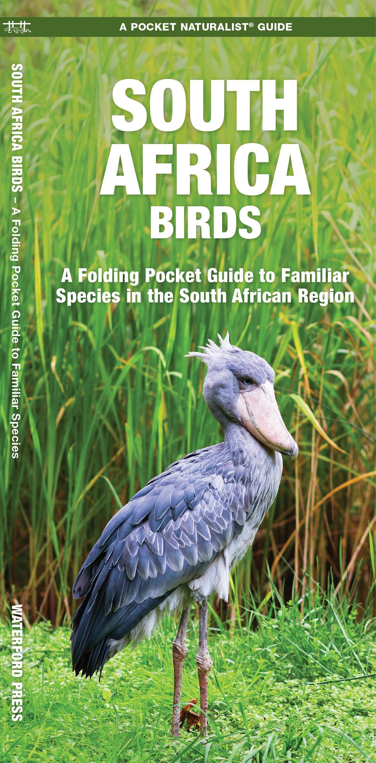 South Africa Birds: A Folding Pocket Guide to Familiar Species in the South African Region (Nature Observation International) Geology & Geography