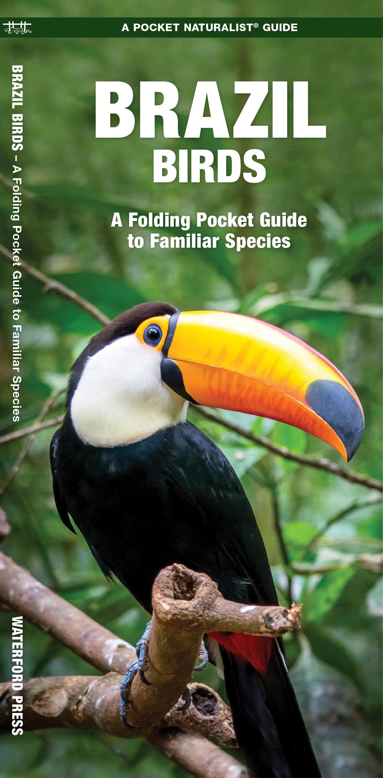 Brazil Birds: A Folding Pocket Guide to Familiar Species (Nature Observation International) Mathematics