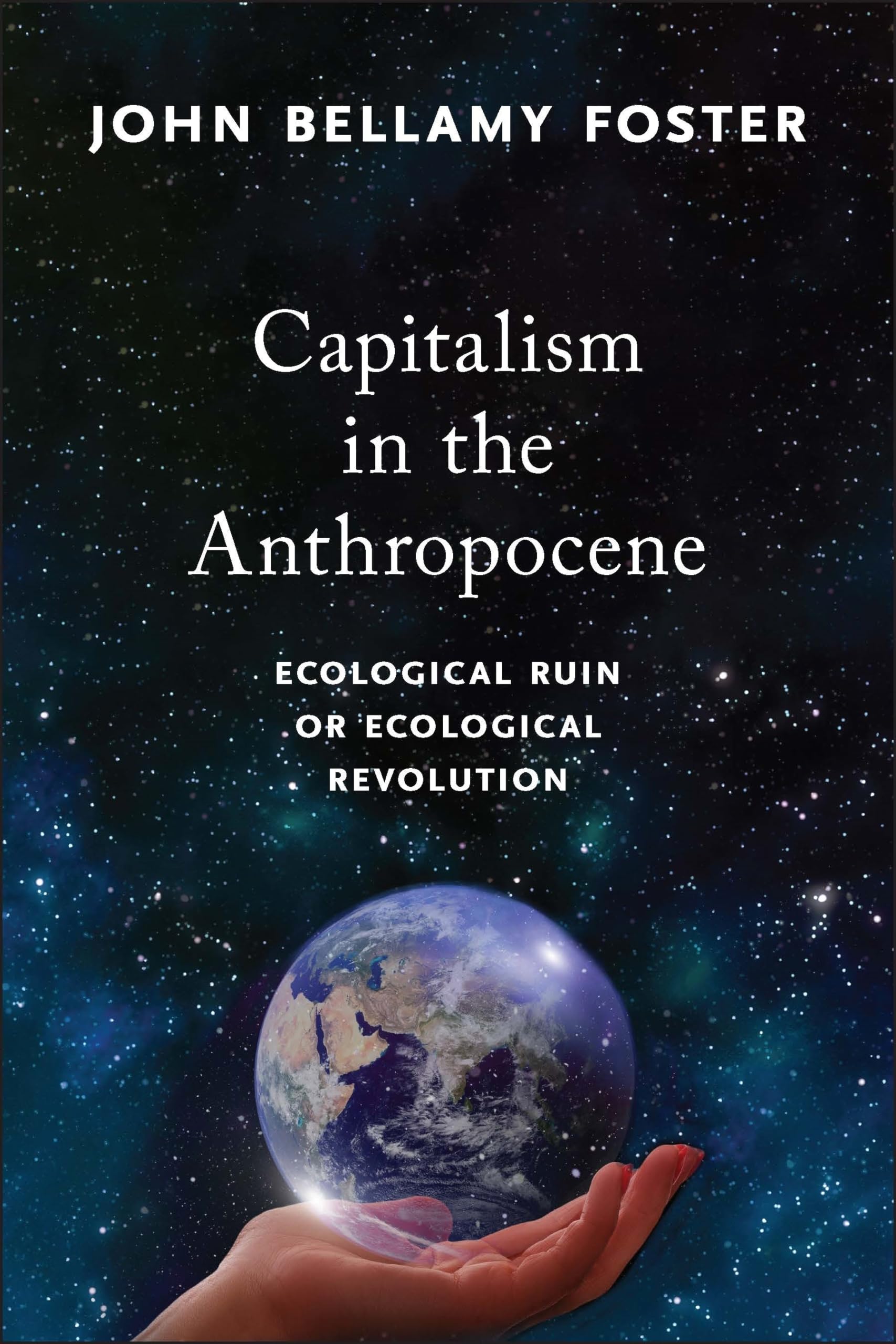 Capitalism in the Anthropocene Social Sciences