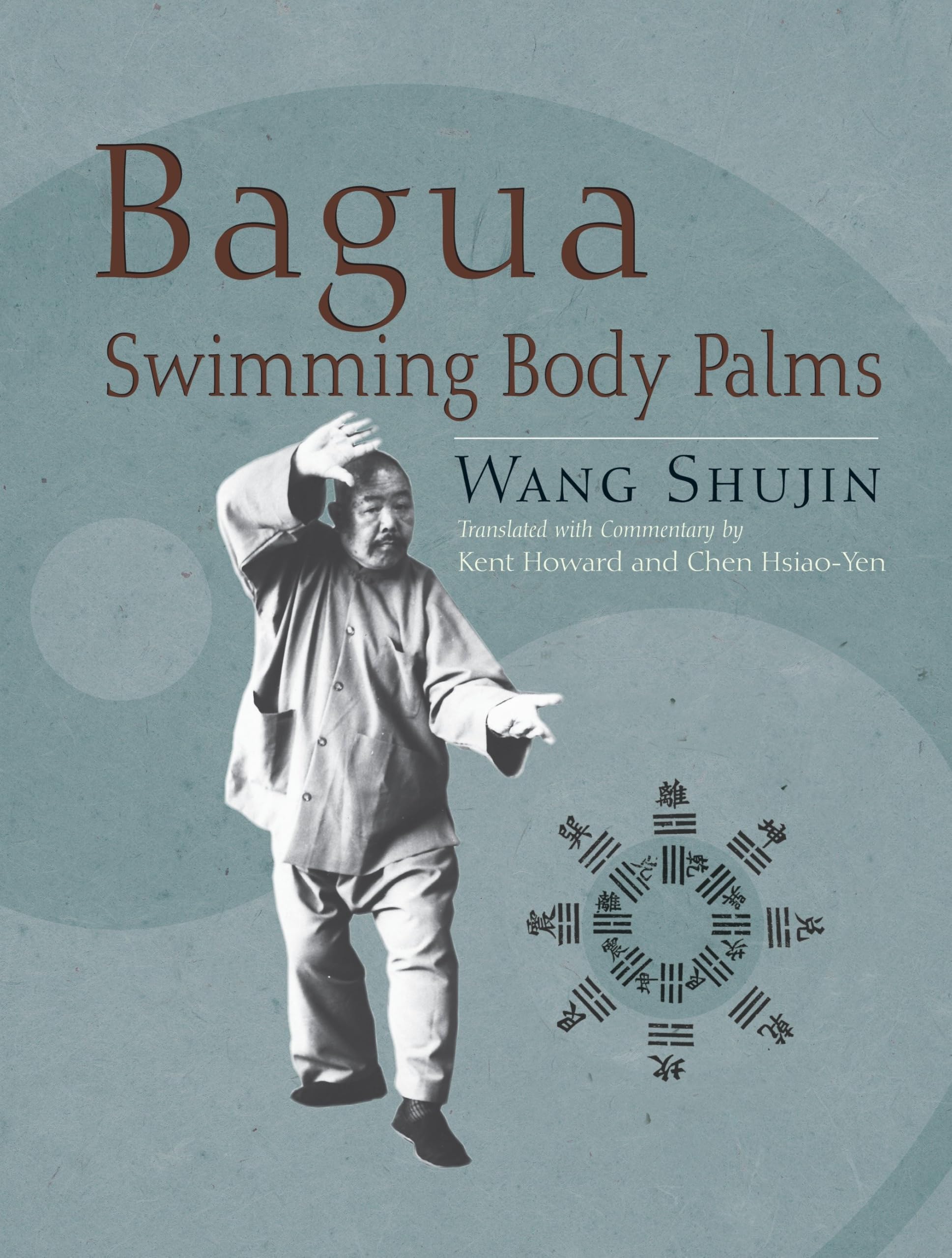 Bagua Swimming Body Palms book