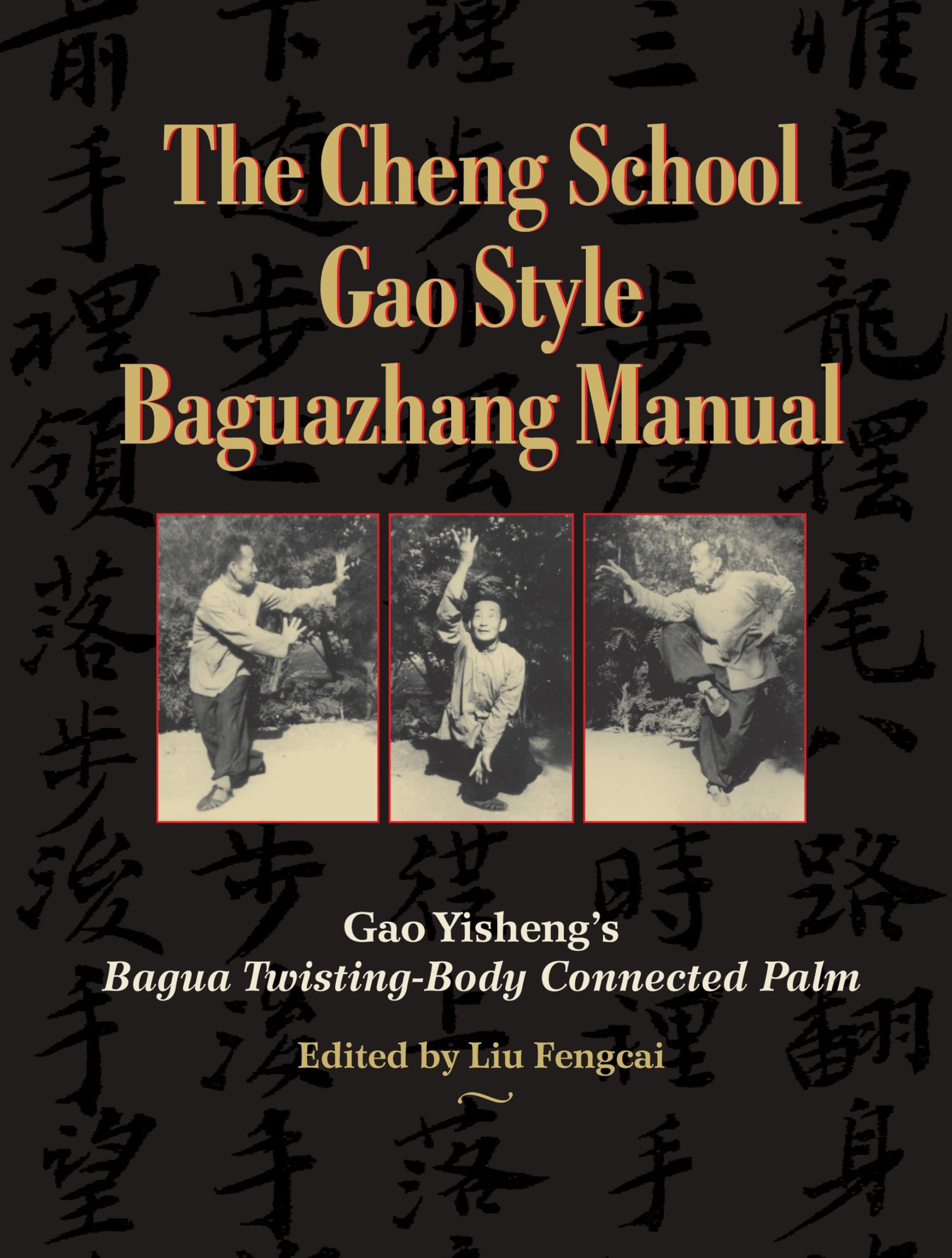 The Cheng School Gao Style Baguazhang Manual Philosophy