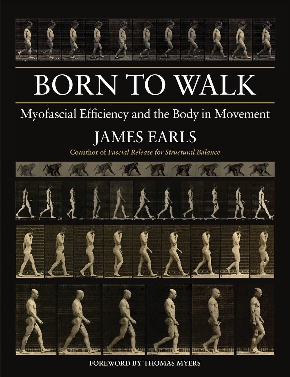 Born to Walk: Myofascial Efficiency and the Body in Movement Medicine