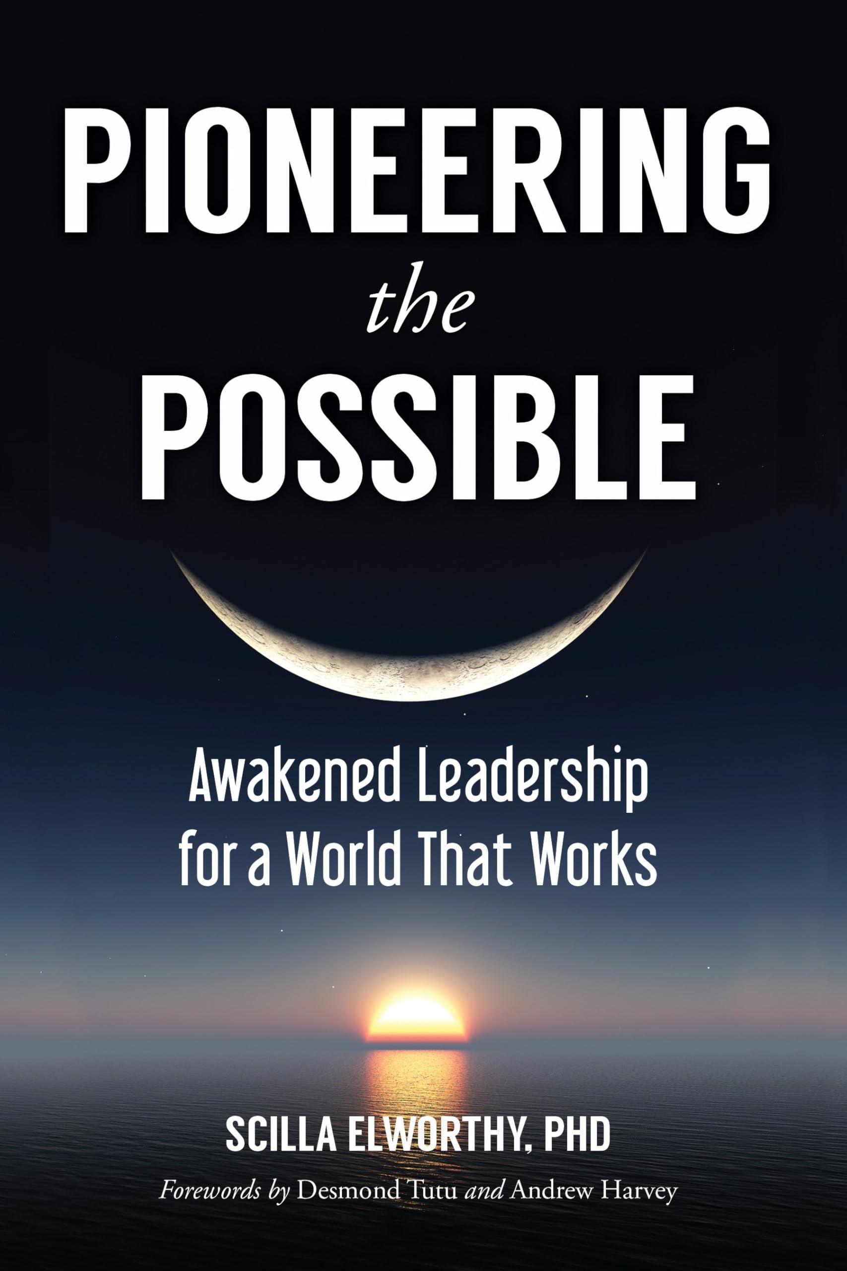Pioneering the Possible: Awakened Leadership for a World That Works (Sacred Activism, Band 7) Social Sciences