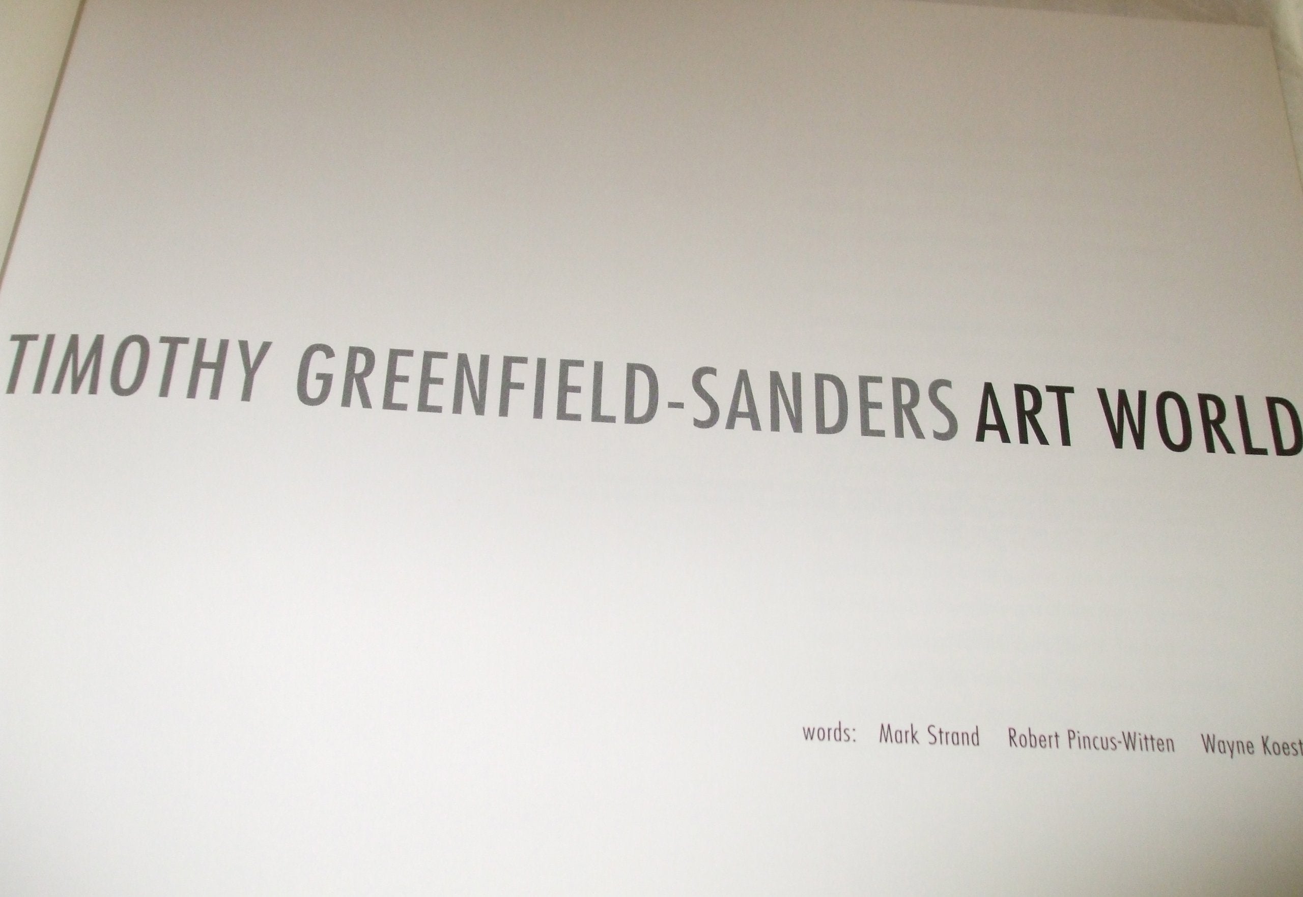 Timothy Greenfield-Sanders Art World Photography