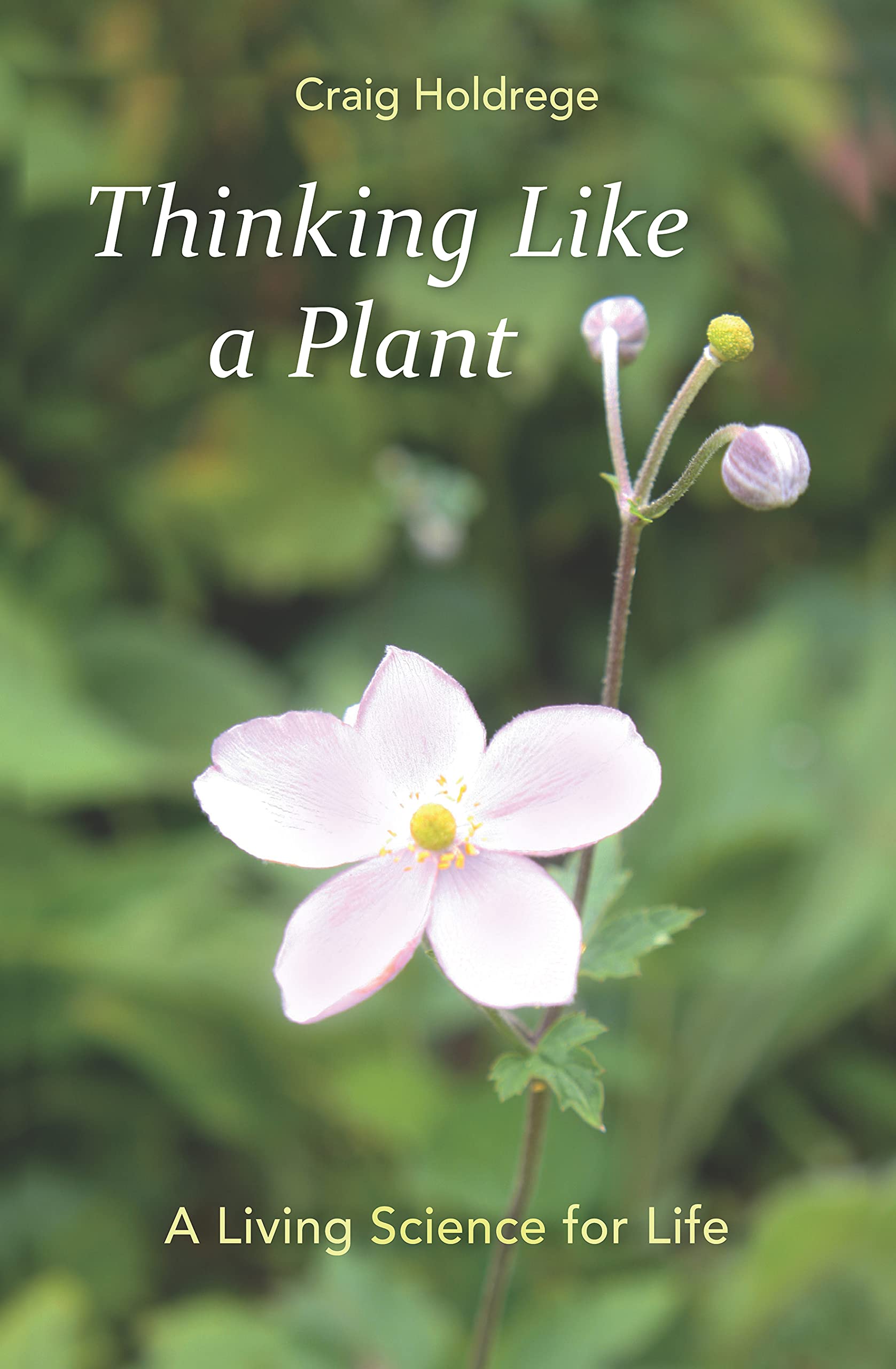 Thinking Like a Plant: A Living Science for Life book
