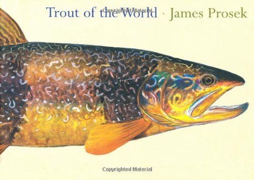 Trout of the World Mathematics
