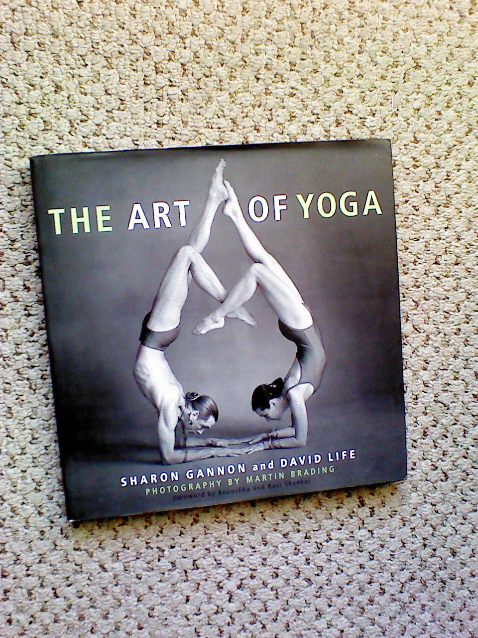 The Art of Yoga Travel