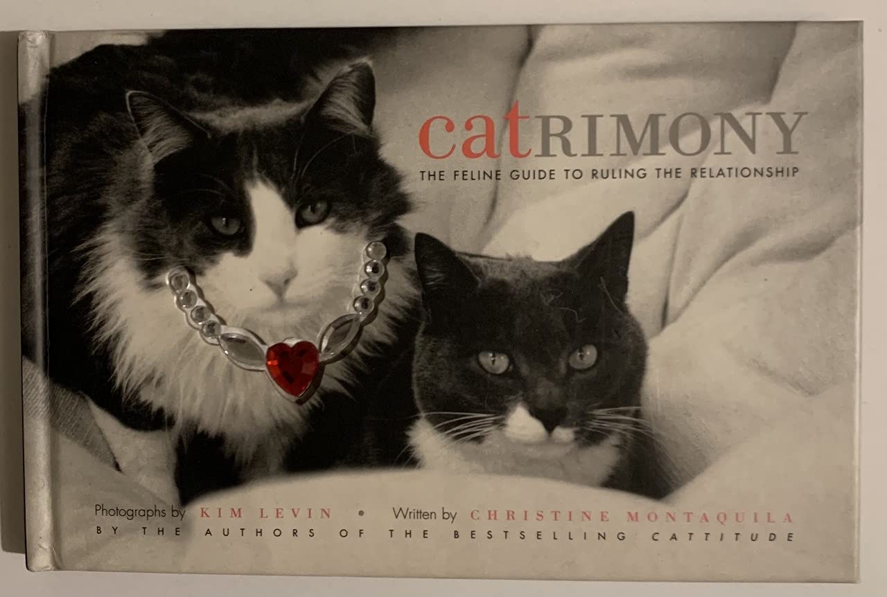 Catrimony: The Feline Guide to Ruling the Relationship Photography