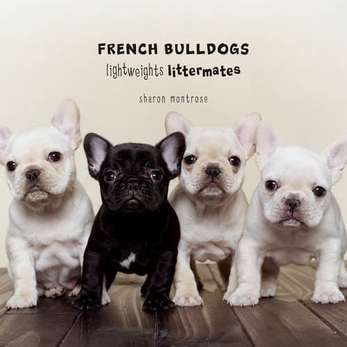 French Bulldogs: Lightweights Littermates Mathematics