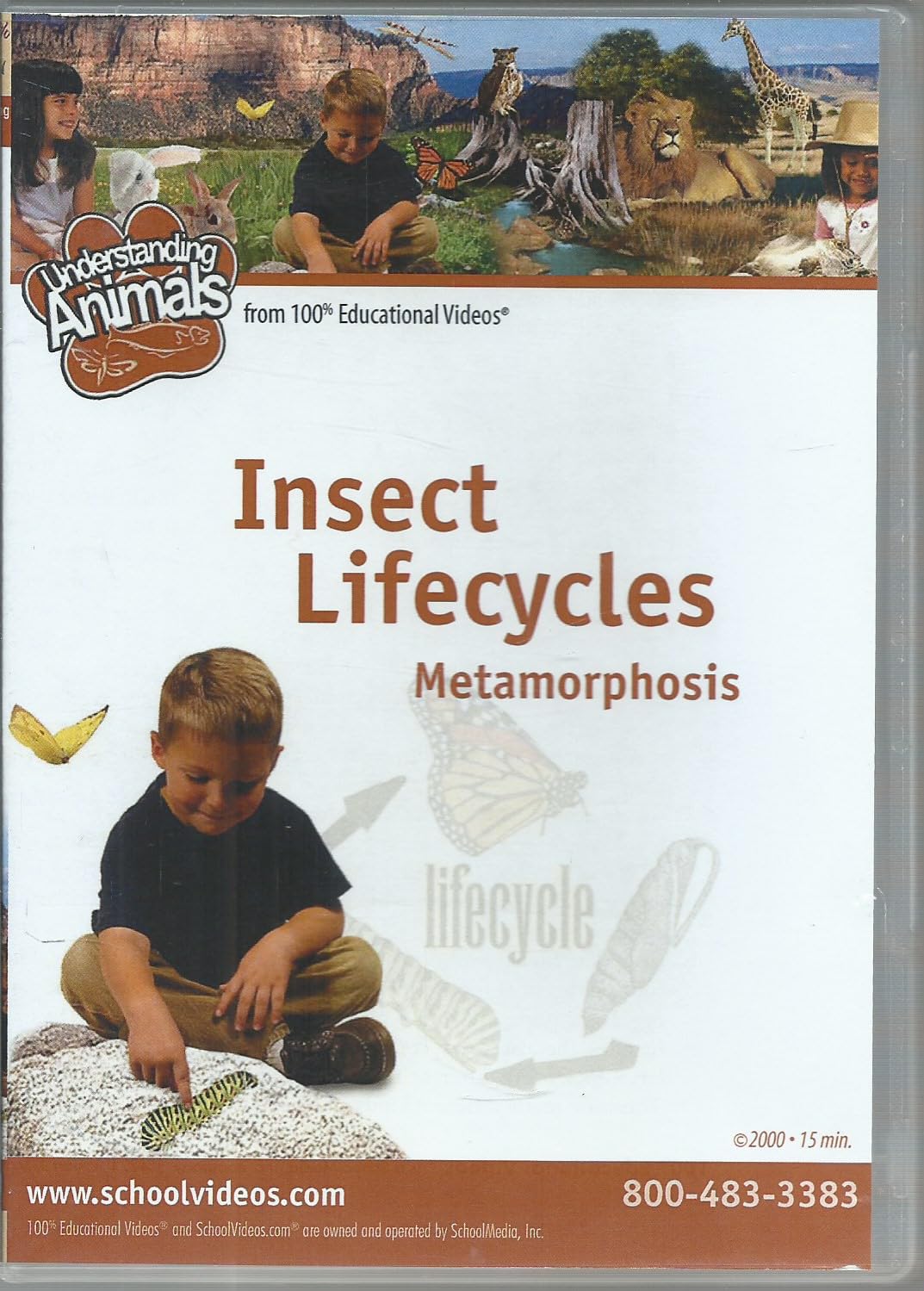 Insect Lifecycles: Metamorphosis Films