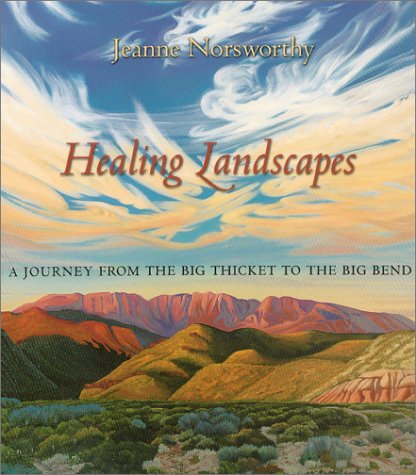 Healing Landscapes: A Journey from the Big Thicket to the Big Bend: A Journey from the Big Thicket to Big Bend (Joe & Betty Moore Texas Art Series) Film, Art & Culture