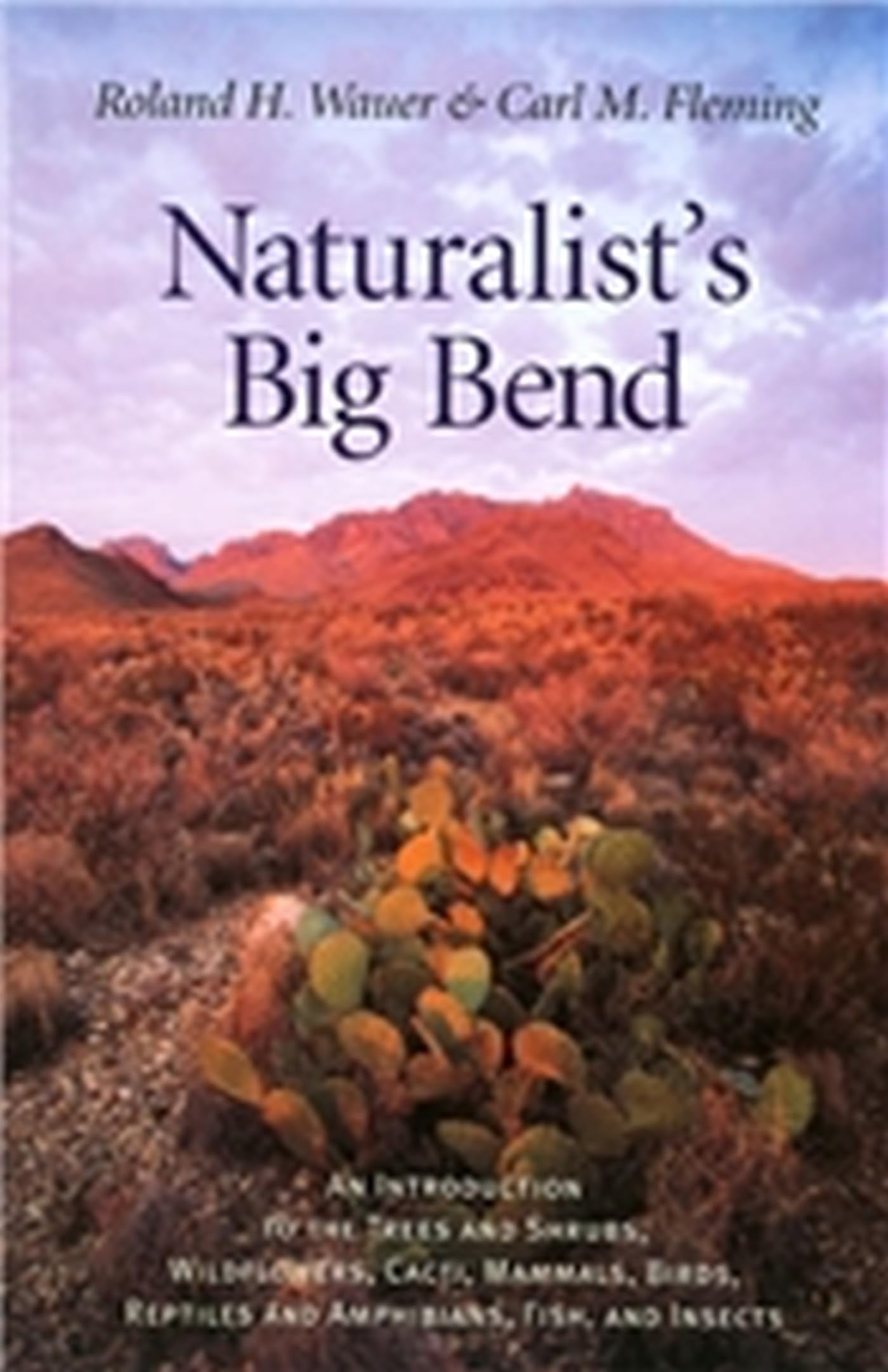 Naturalists's Big Bend: An Introduction to the Trees and Shrubs, Wildflowers, Cacti, Mammals, Birds, Reptiles and Amphibians, Fish, and Insects ... Natural Environment Series, 33, Band 33) Mathematics