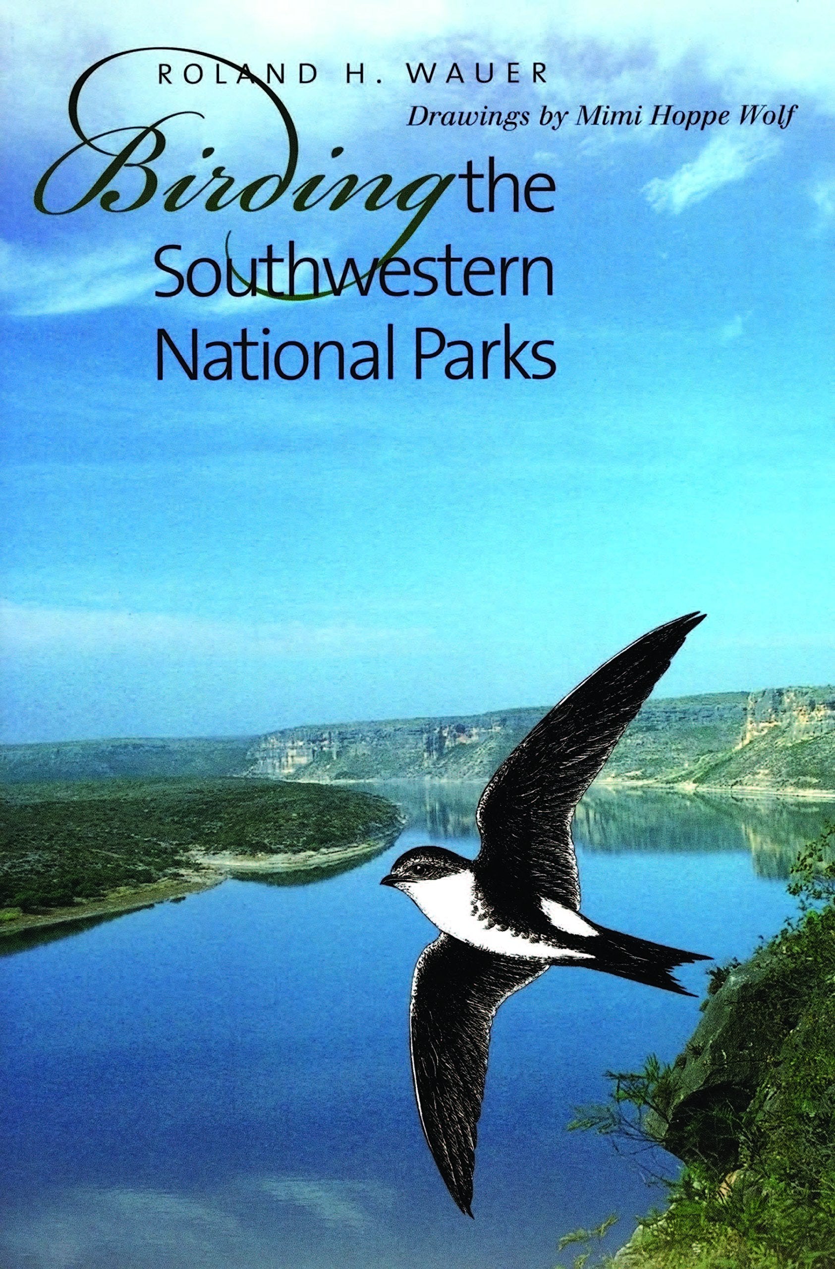 Birding the Southwestern National Parks: Volume 35 (W.L. Moody, Jr., Natural History Series, No. 36, Band 35) Mathematics