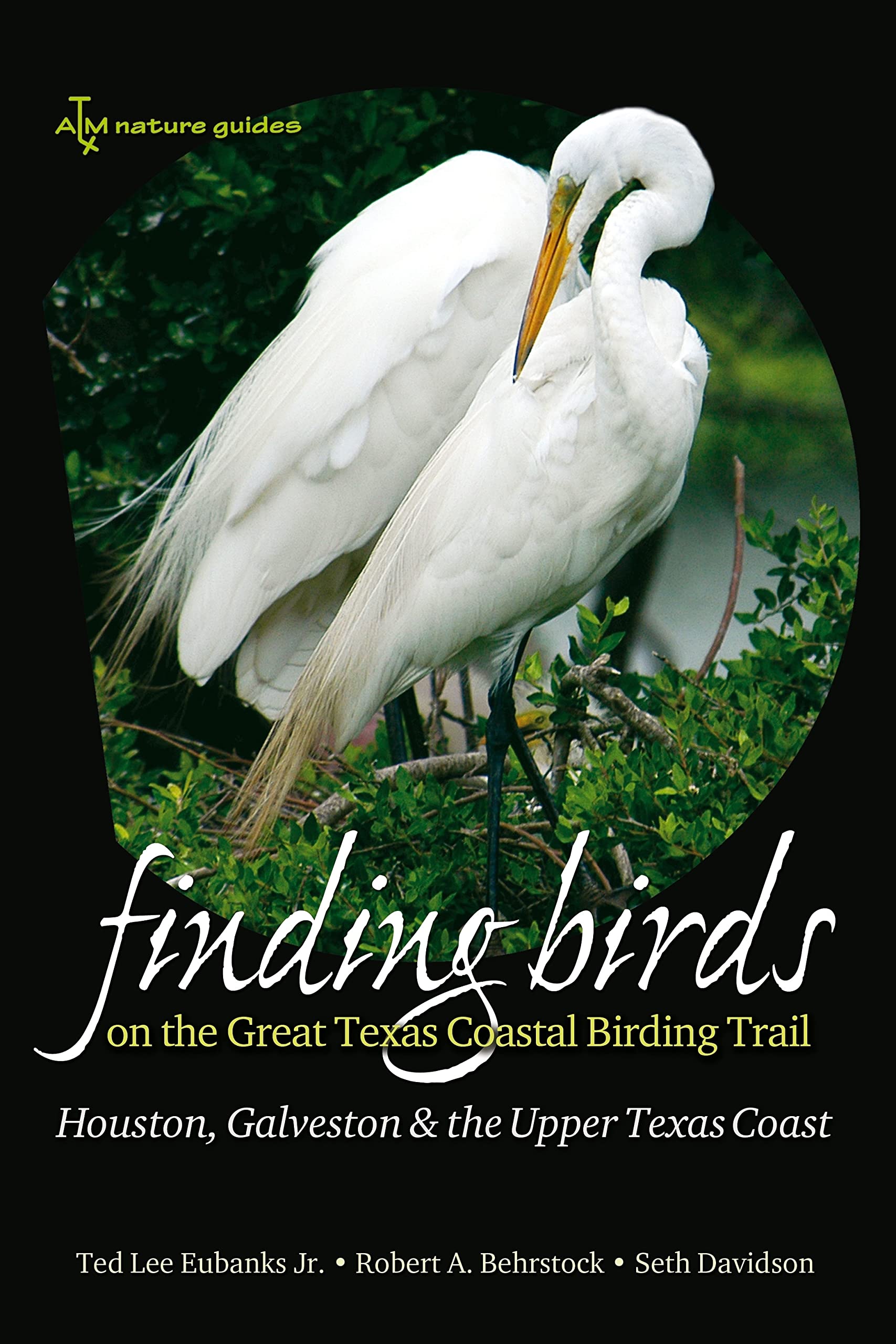 Finding Birds On The Great Texas Coastal Birding Trail: Houston, Galveston, and the Upper Texas Coast book