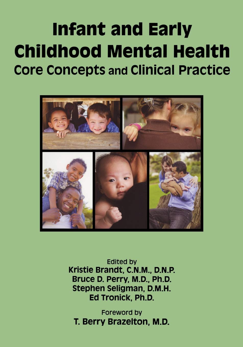 Infant and Early Childhood Mental Health: Core Concepts and Clinical Practice book