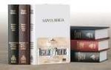 La Santa Biblia / Holy Bible: Reina Valera Revision De 1960, Burgundy, Imitation Leather, Gift & Award Bible Religion & Esotericism