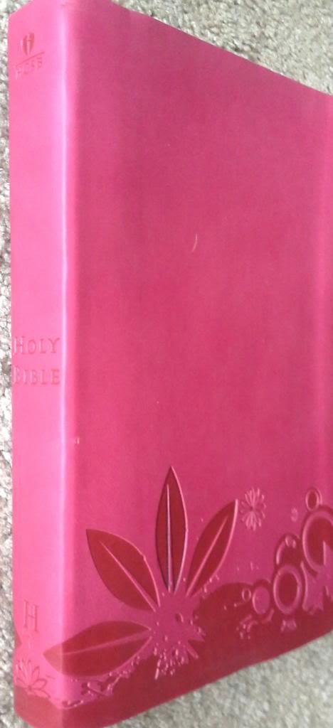 Holman Christian Standard Bible (Personal Size Gift Bible - Surf Pink) Books