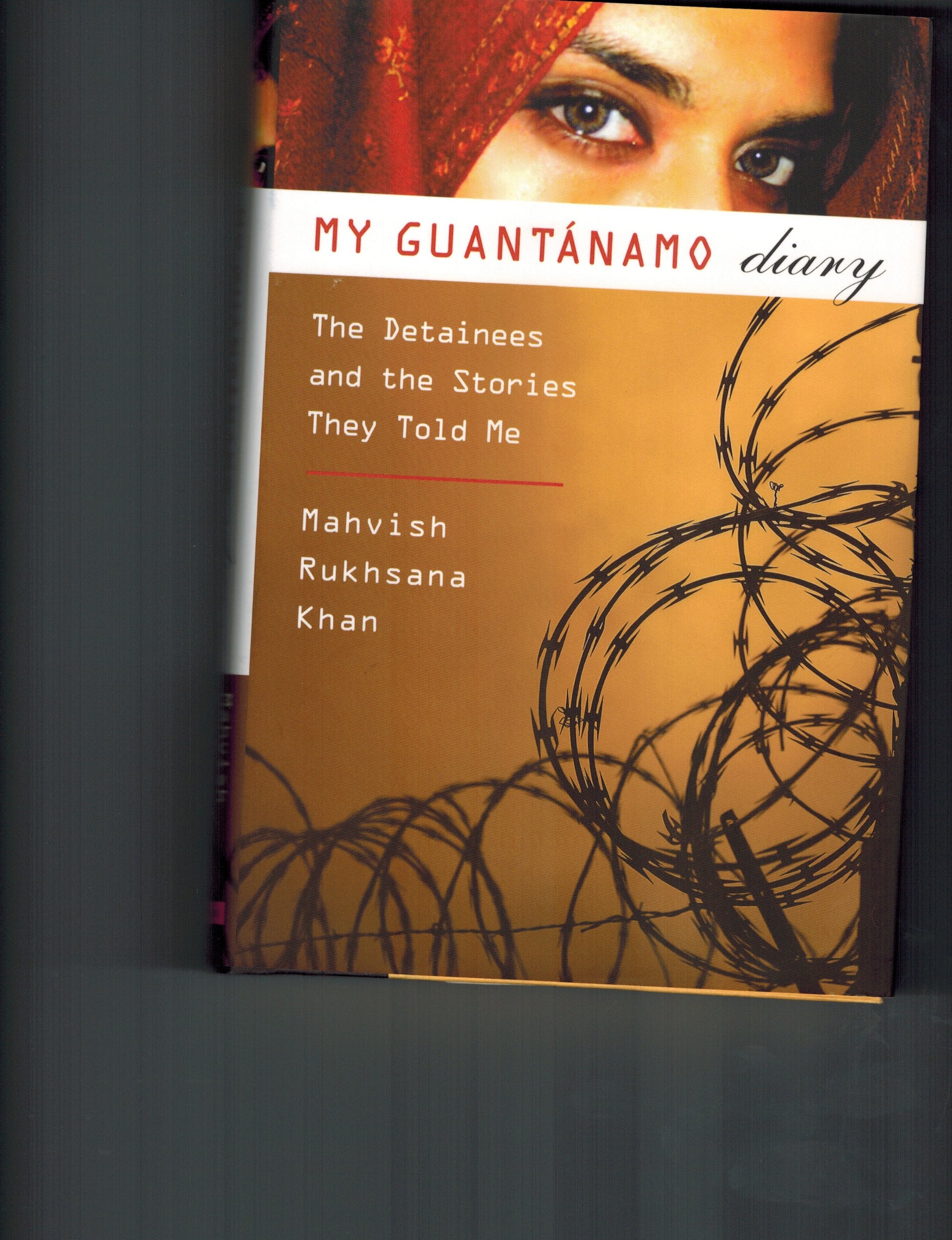 My Guantanamo Diary: The Detainees and the Stories They Told Me Law