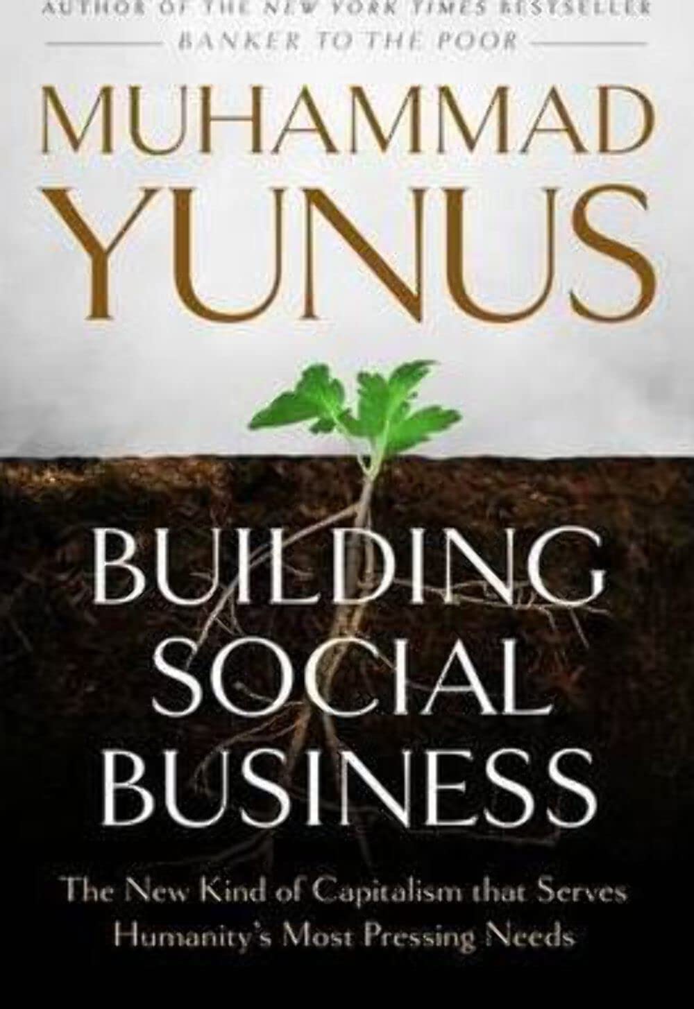 Building Social Business: The New Kind of Capitalism That Serves Humanity's Most Pressing Needs Law