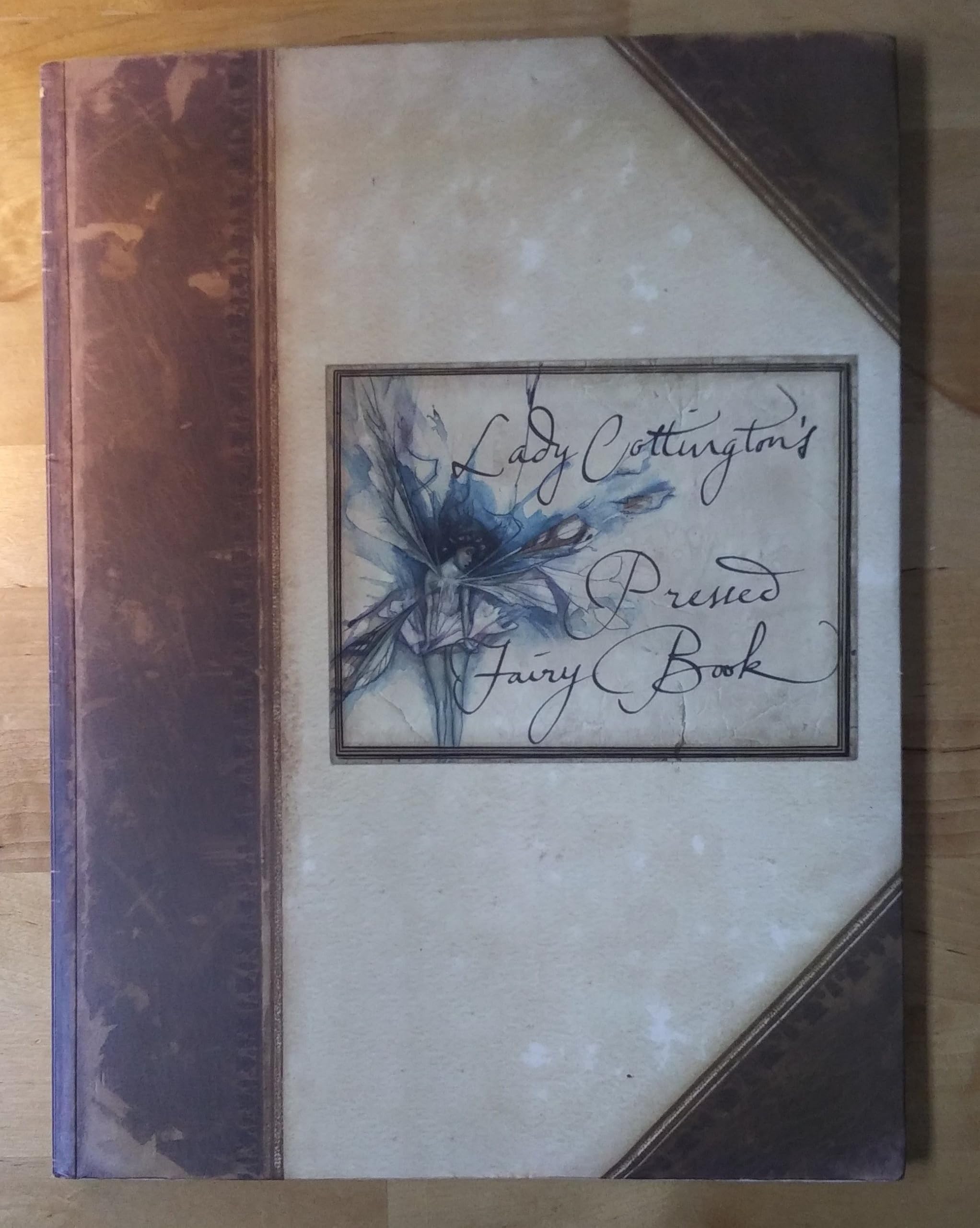 Lady Cottington's Pressed Fairy Book Books