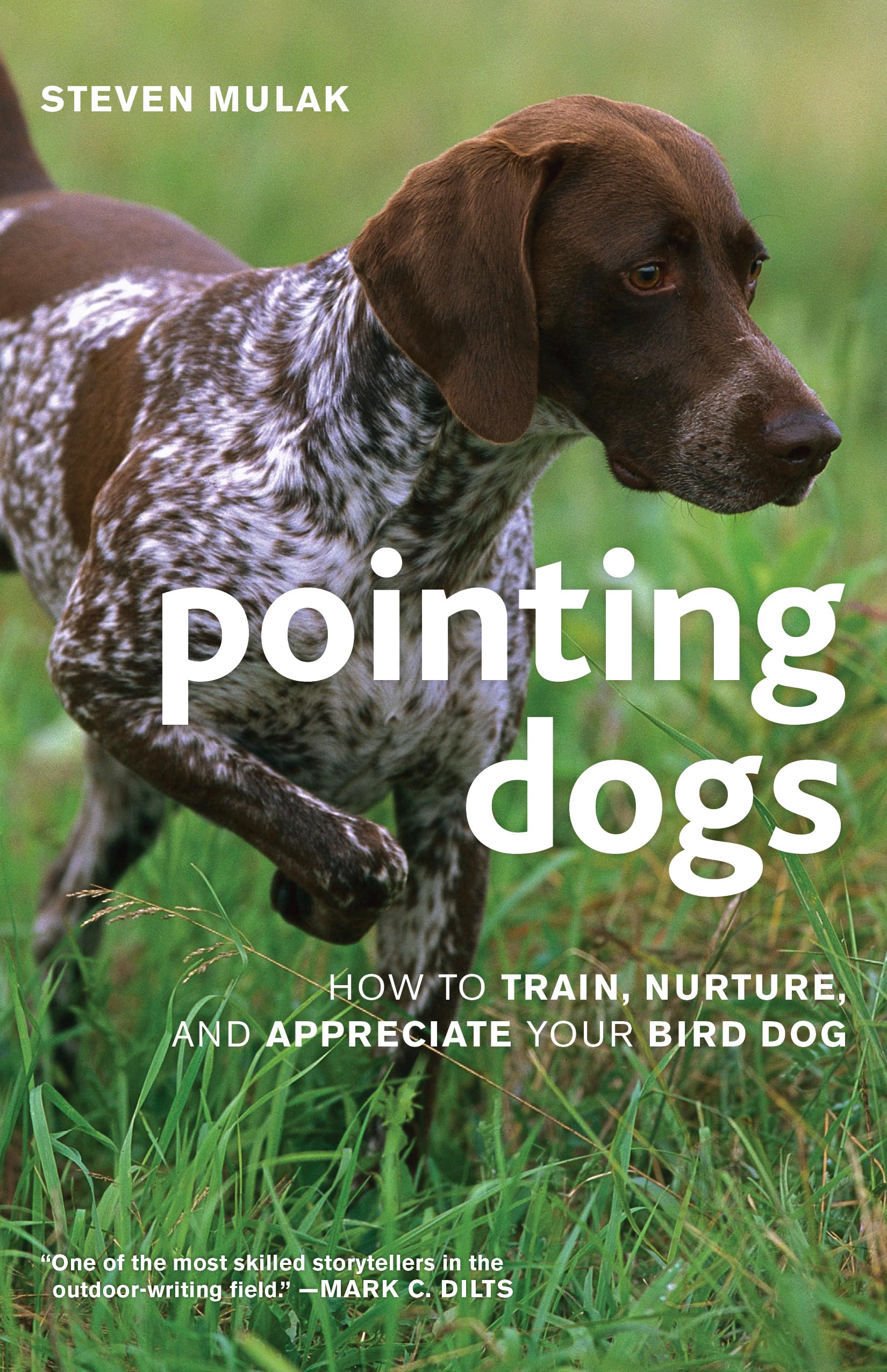 Pointing Dogs: How to Train, Nurture, and Appreciate Your Bird Dog book
