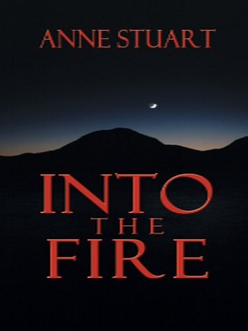 Into the Fire (Wheeler Large Print Book Series) Contemporary Romance