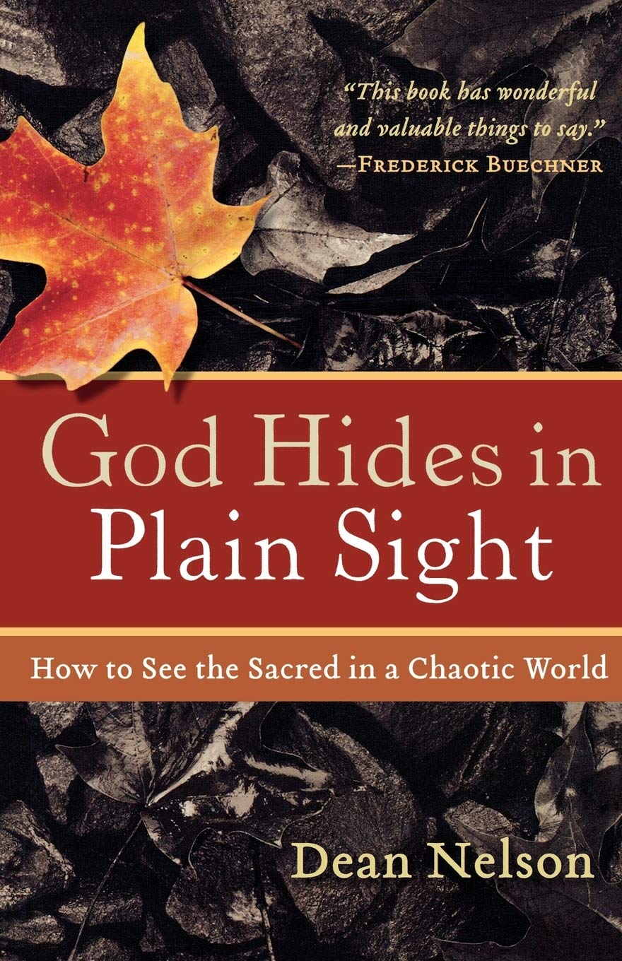God Hides in Plain Sight: How to See the Sacred in a Chaotic World Social Sciences