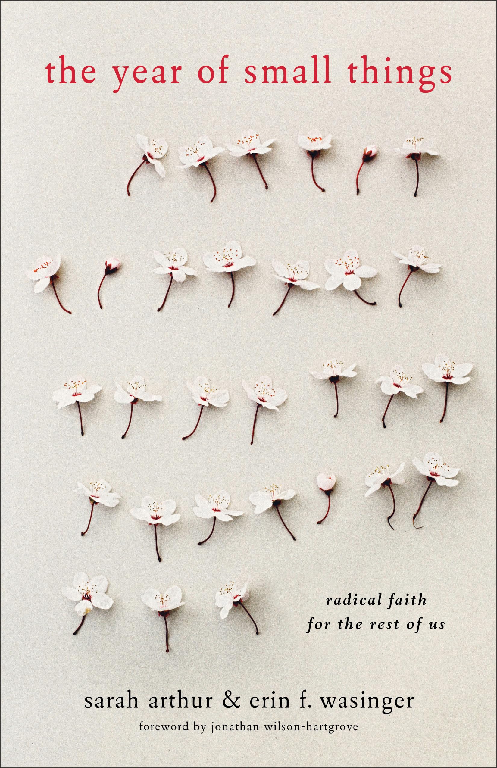 Year of Small Things: Radical Faith For The Rest Of Us Social Sciences