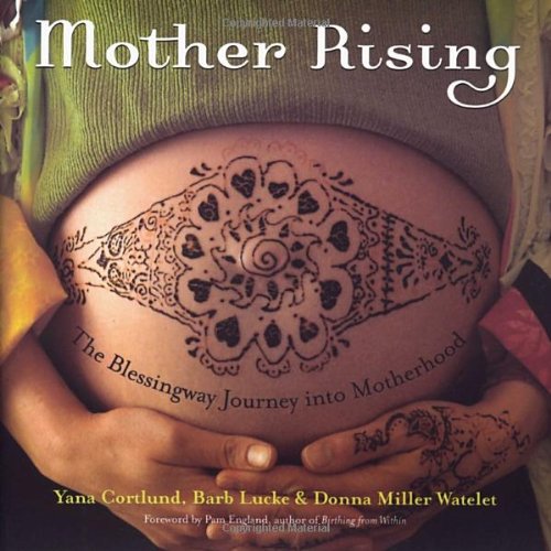 Mother Rising: The Blessingway Journey into Motherhood book
