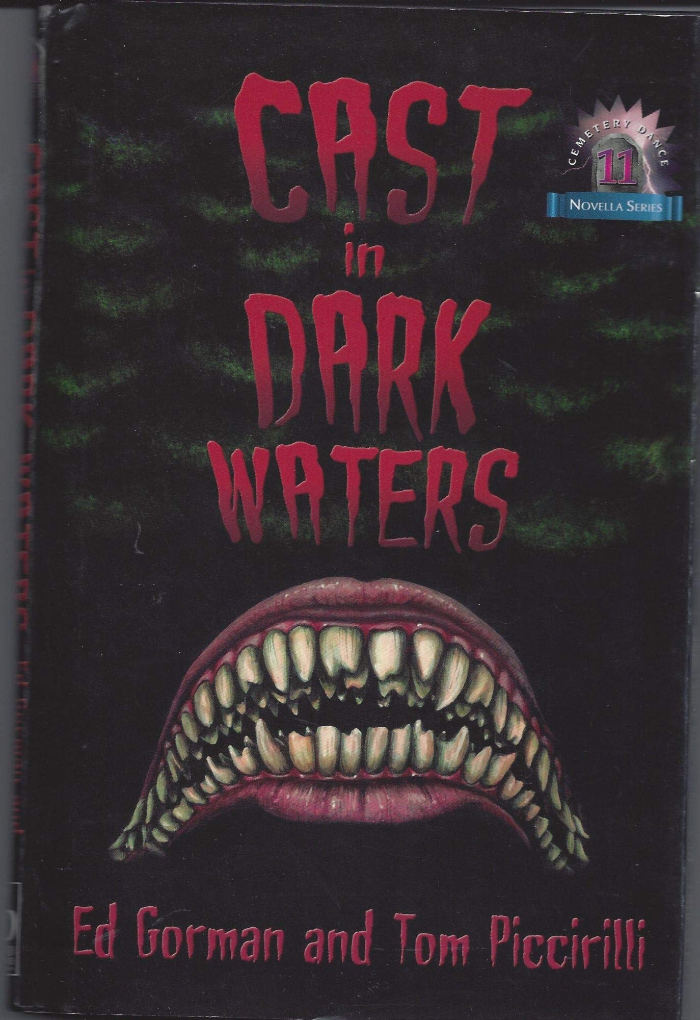 Cast in Dark Waters (Novella Number 11) Detective & CSI