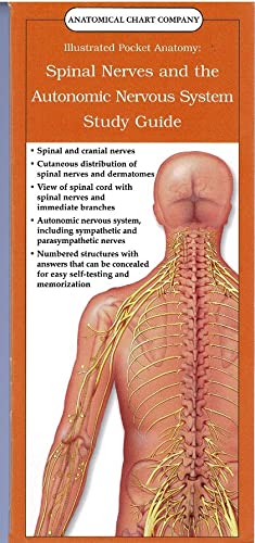 Illustrated Pocket Anatomy: Spinal Nerves And The Autonomic Nervous System Study Guide: (laminated Card, Single Copy, No Tab) (Anatomical Chart Company's Illustrated Pocket Anatomy) Medicine