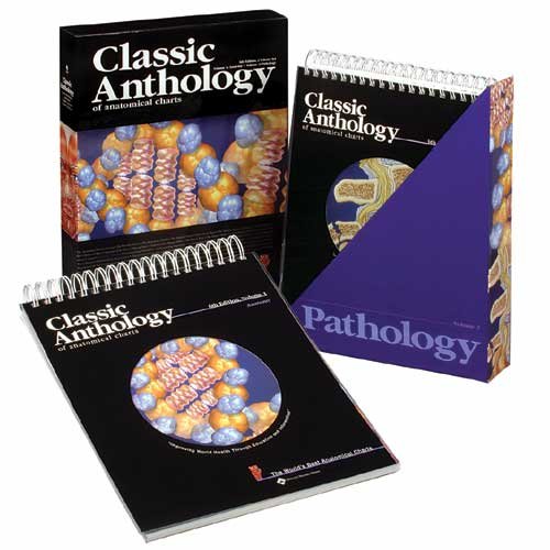 Classic Anthology of Anatomical Charts (The World's Best Anatomical Chart Series) Medicine