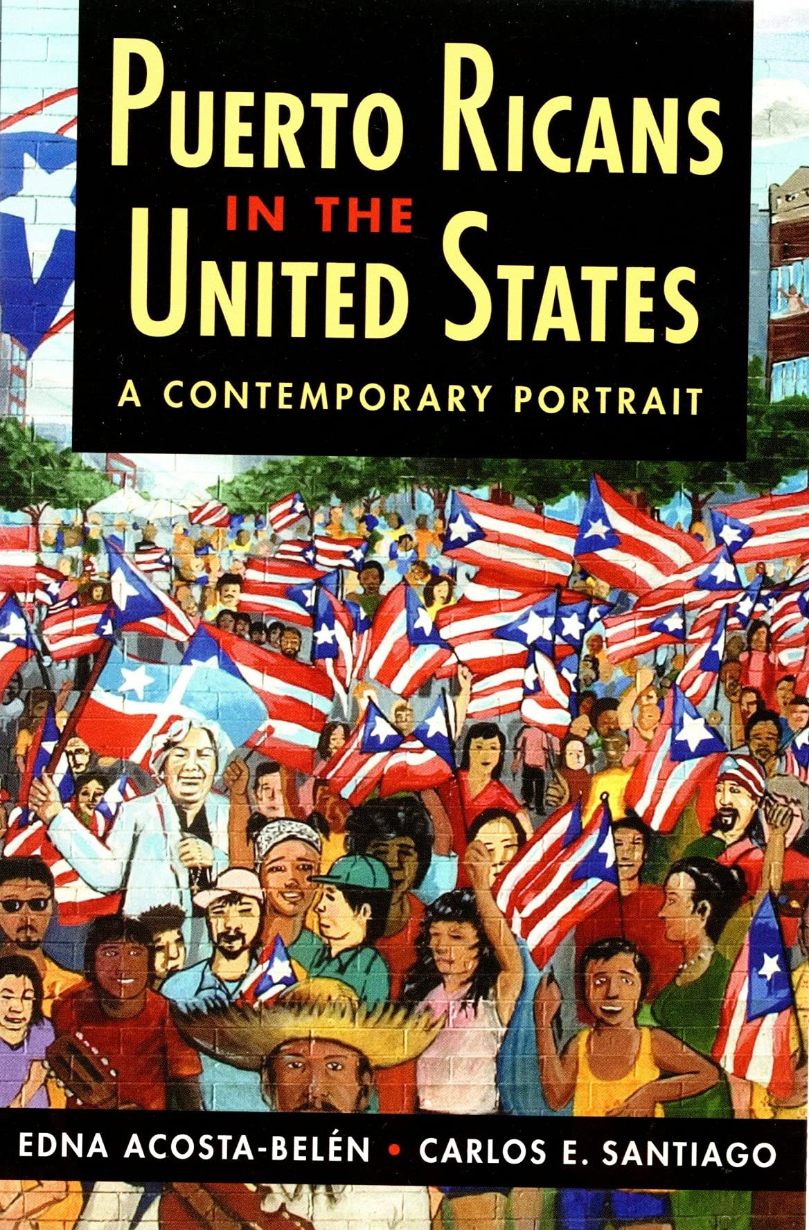 Puerto Ricans in the United States: A Contemporary Portrait Social Sciences