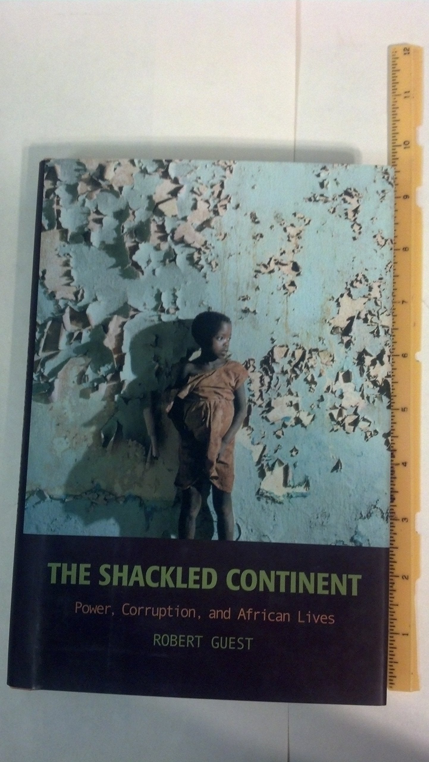 The Shackled Continent: Power, Corruption, And African Lives book