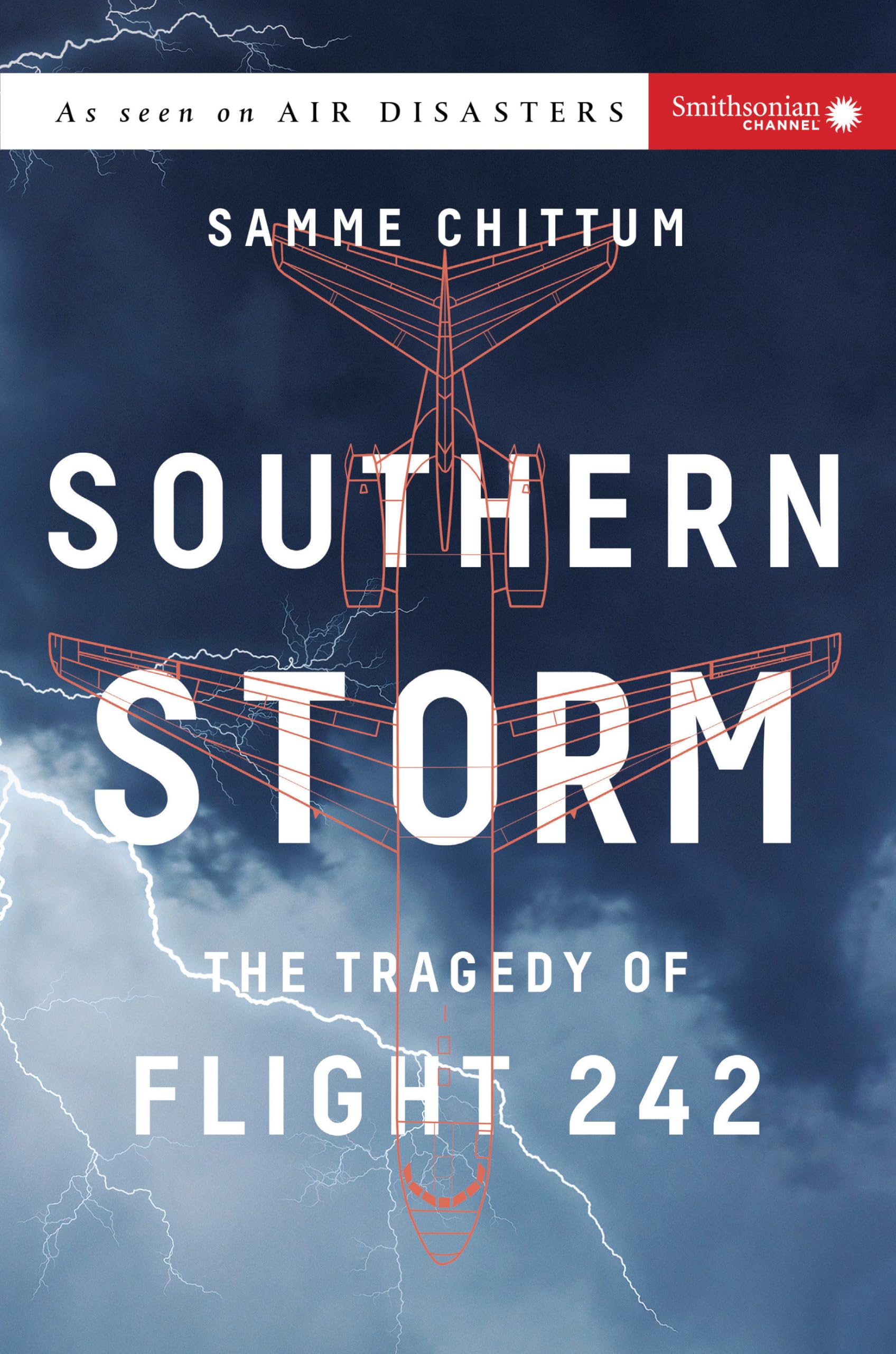 Southern Storm: The Tragedy of Flight 242 (Air Disasters) Business, Finance & Career
