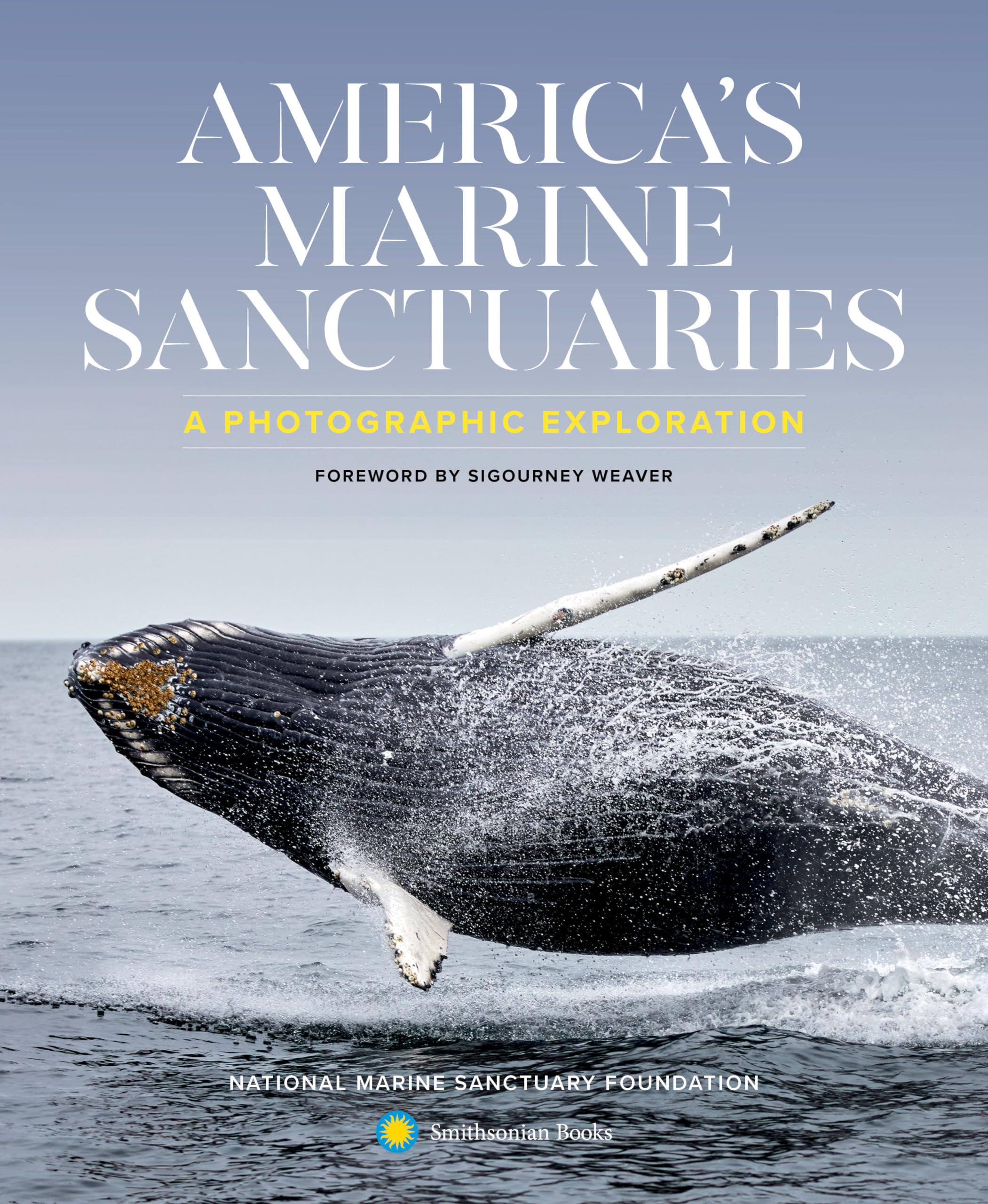 America's Marine Sanctuaries: A Photographic Exploration Social Sciences